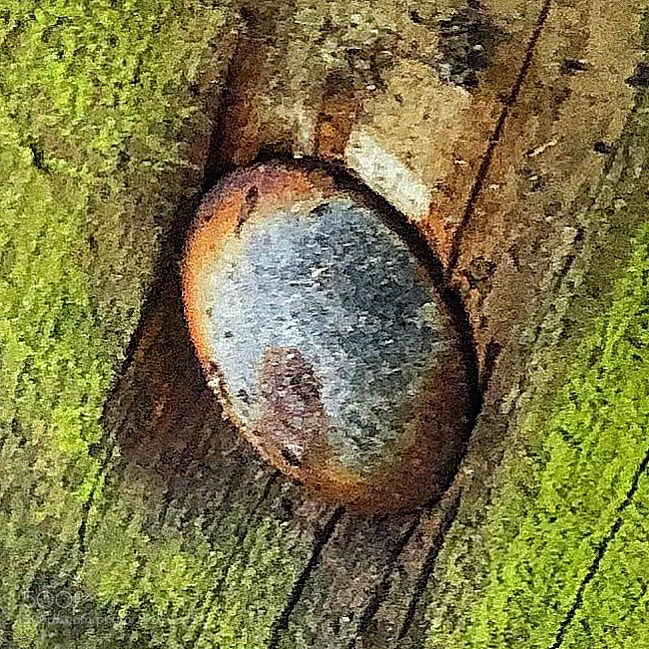 Apple iPhone 8 Plus sample photo. Mossy and rusty photography