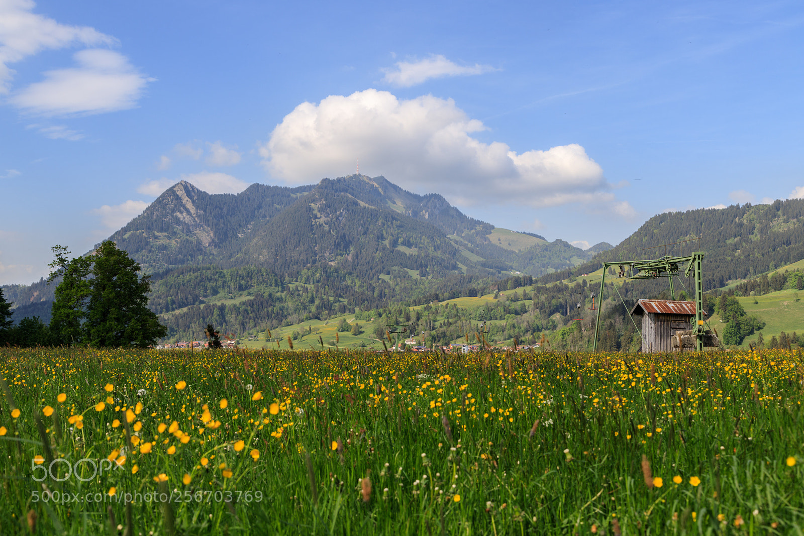 Canon EOS 6D Mark II sample photo. Spring time photography