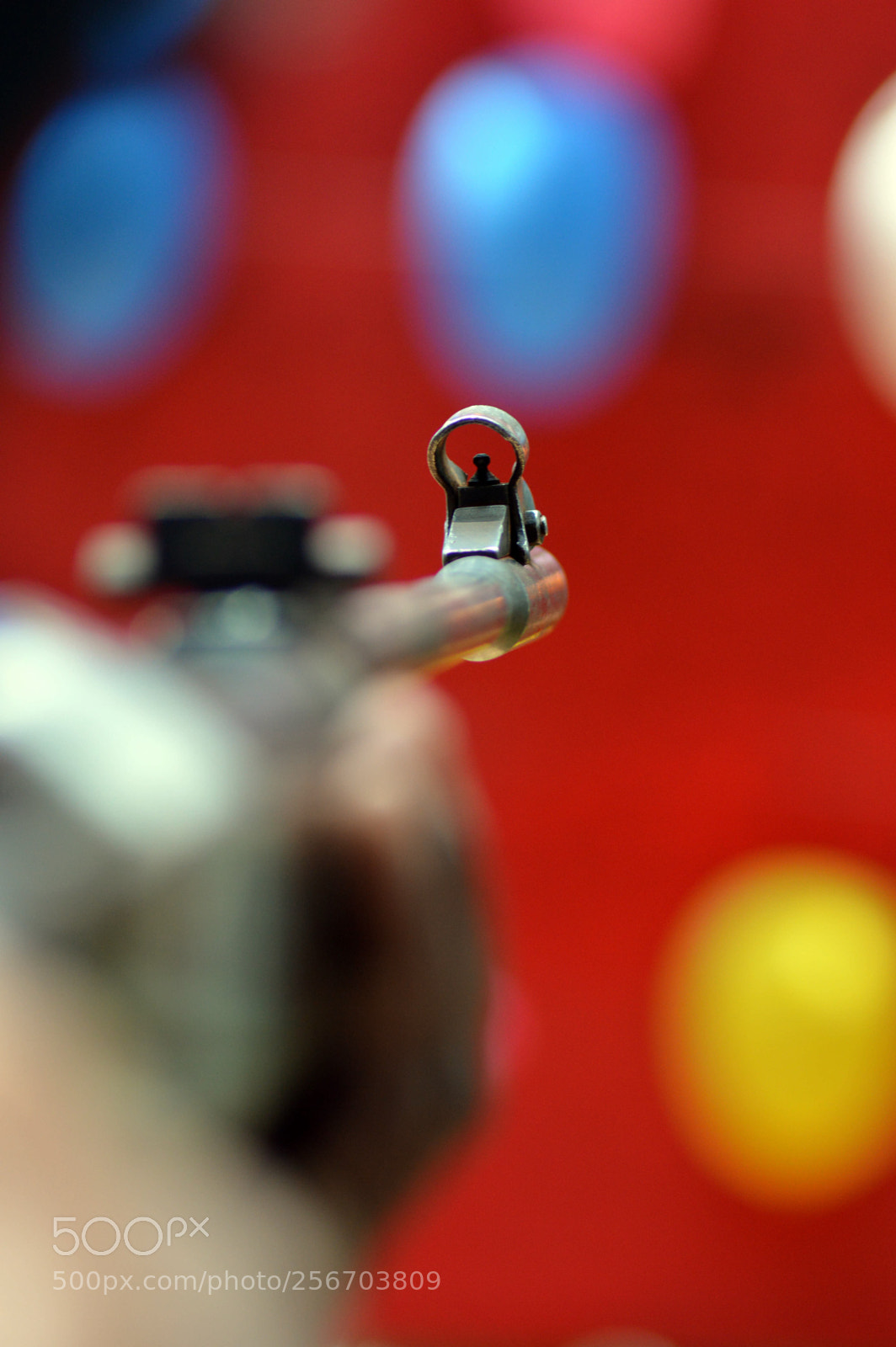 Nikon D3200 sample photo. Target_achieved photography