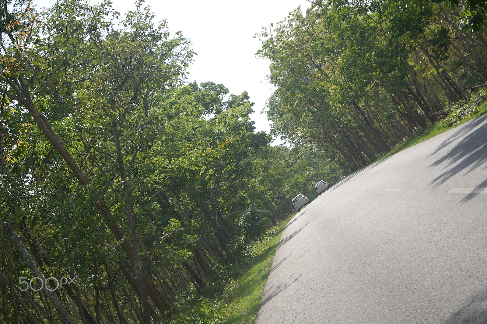 Samsung NX2000 sample photo. Bandipur national park photography