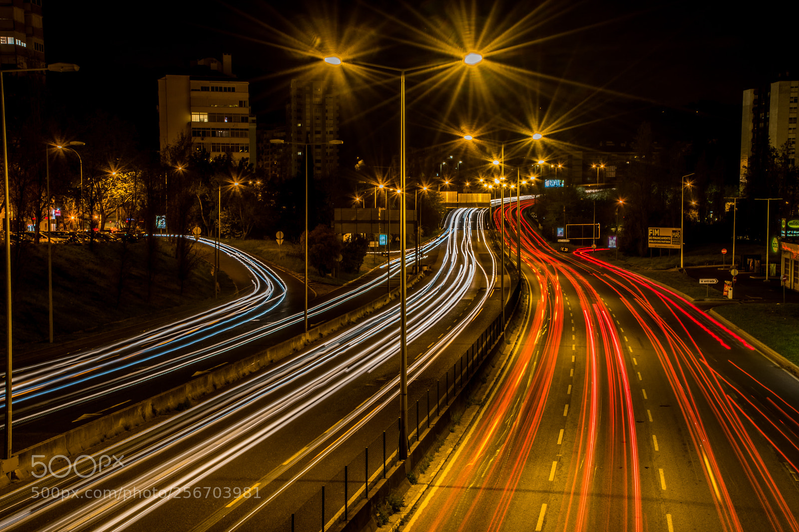 Nikon D5500 sample photo. Draws of light photography