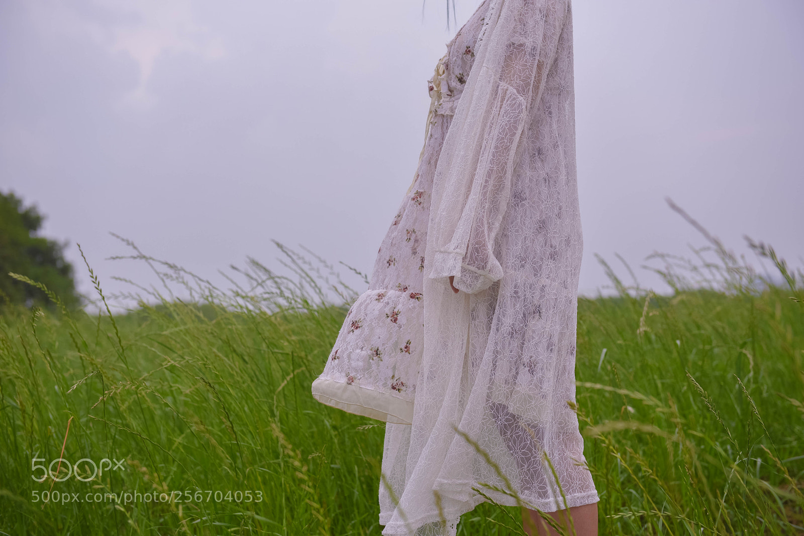 Nikon D750 sample photo. Untitled photography