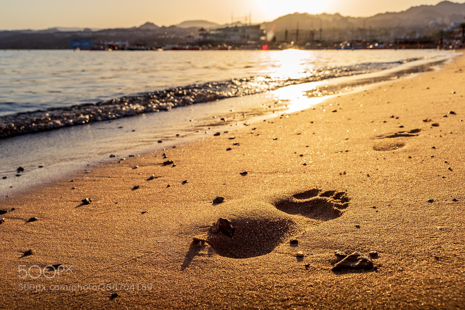 Sony a7 II sample photo. Sunset in eilat, israel photography