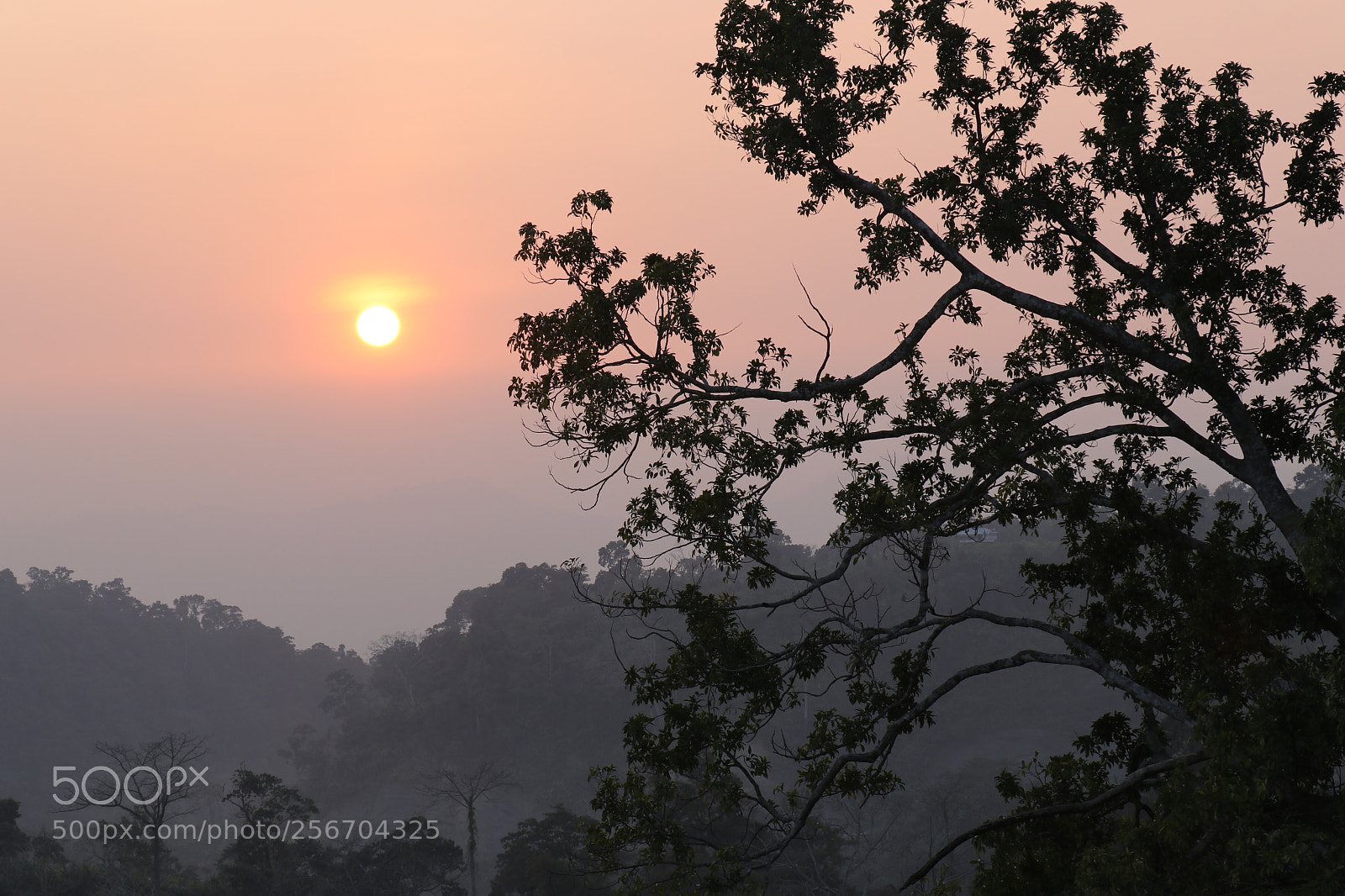 Canon EOS 80D sample photo. Sunset photography