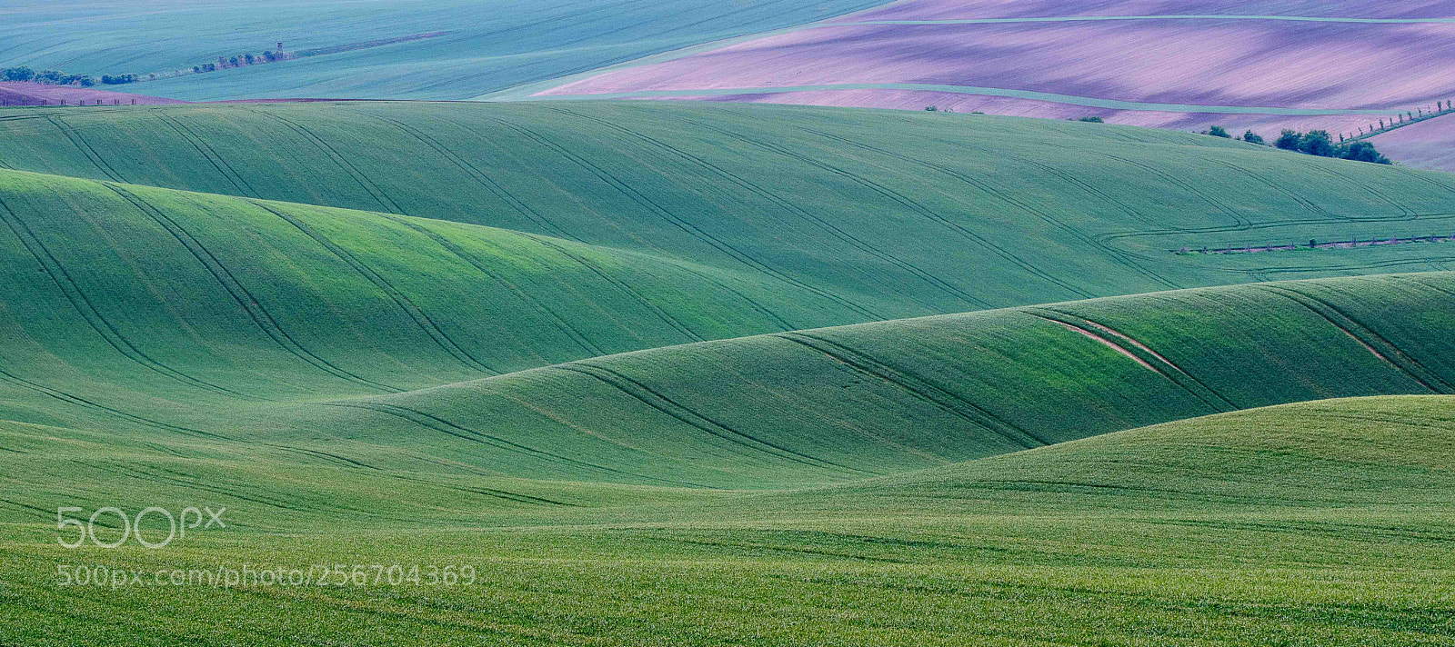 Pentax K-3 sample photo. Green waves photography