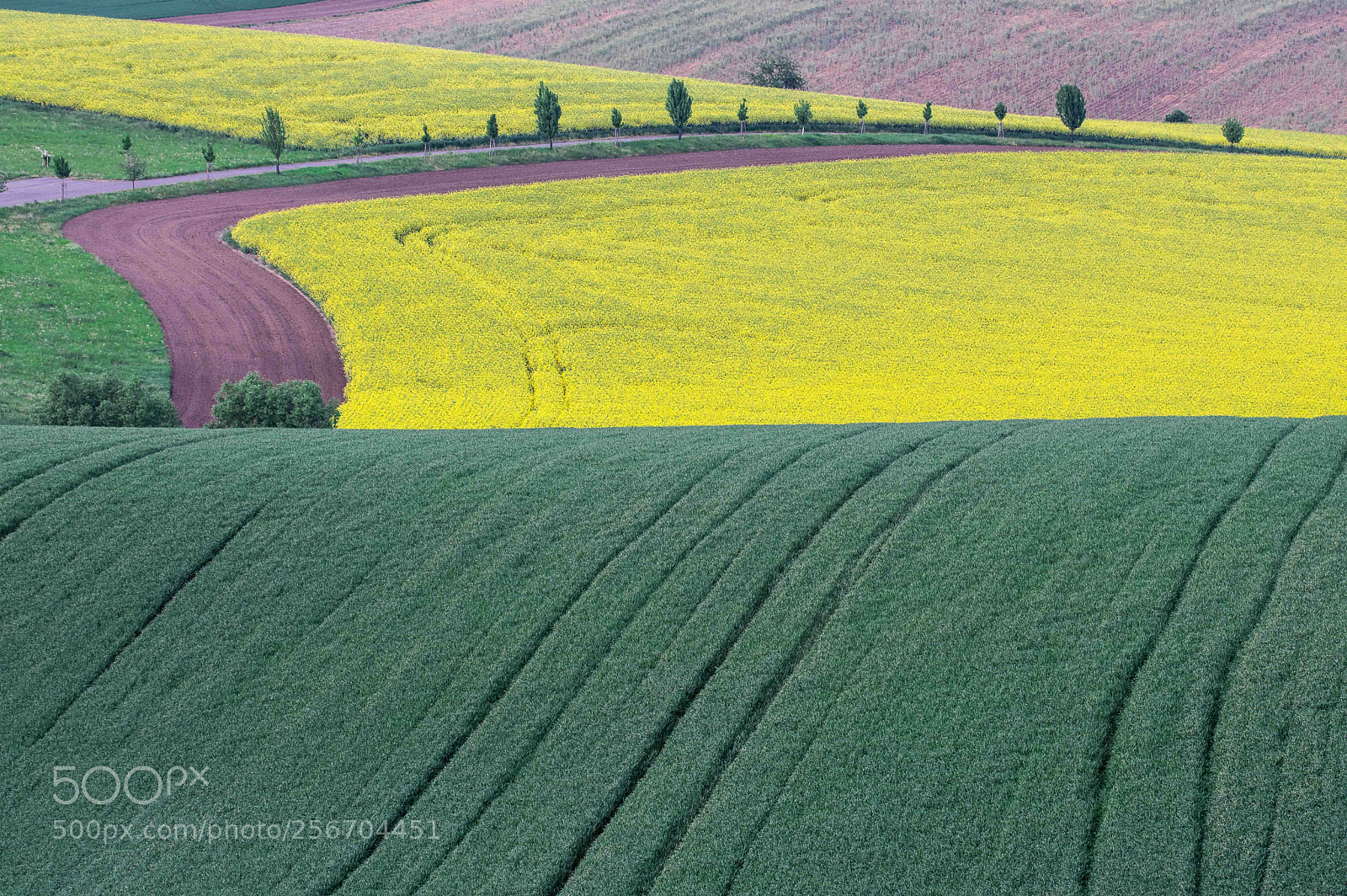 Pentax K-3 sample photo. Fields of soth moravia 1 photography