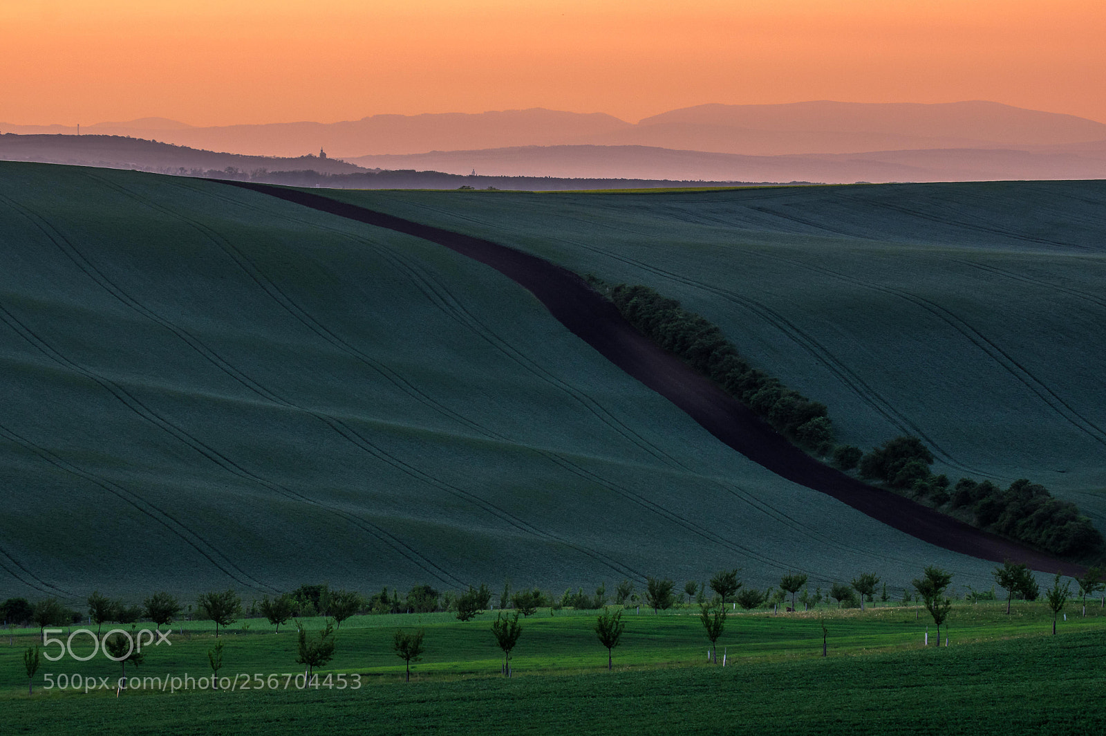 Pentax K-3 sample photo. Fields of south moravia photography