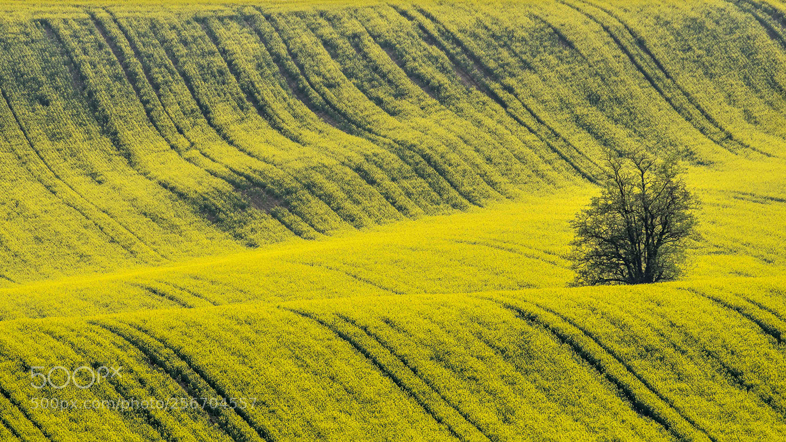 Pentax K-3 sample photo. Fields of south moravia 2 photography