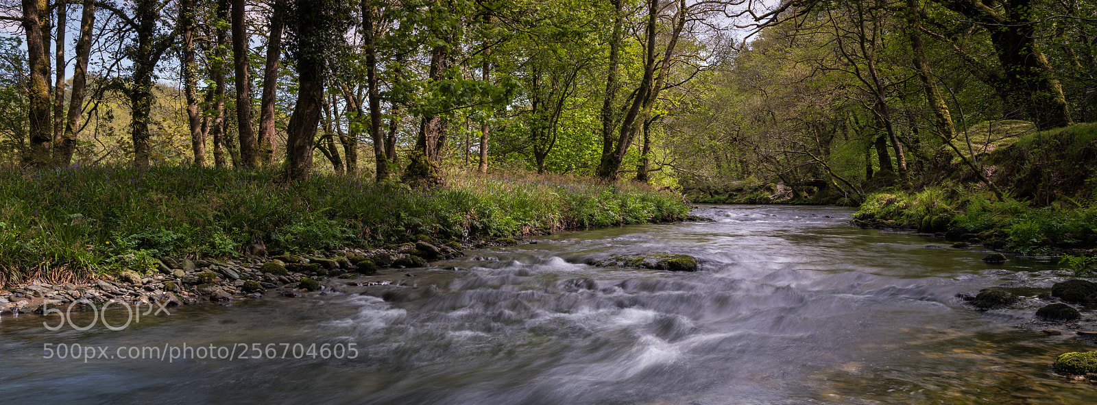 Fujifilm GFX 50S sample photo. River walkham photography