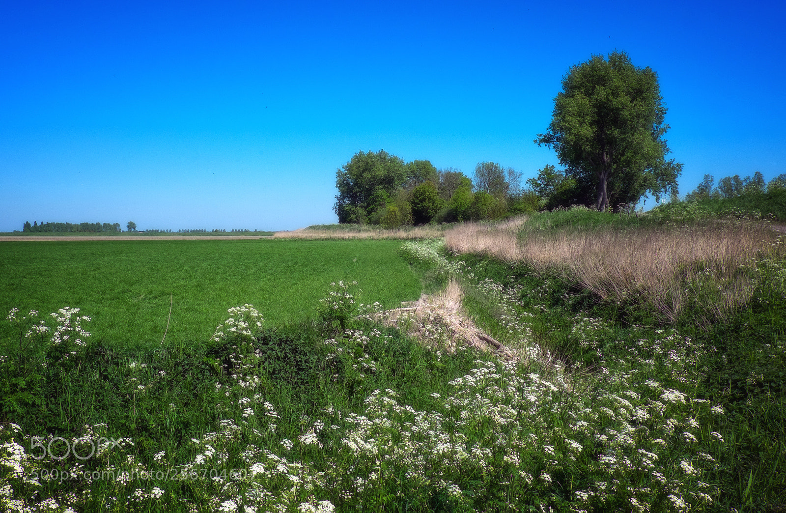 Fujifilm X-T1 sample photo. Landscape on schouwen-duiveland photography