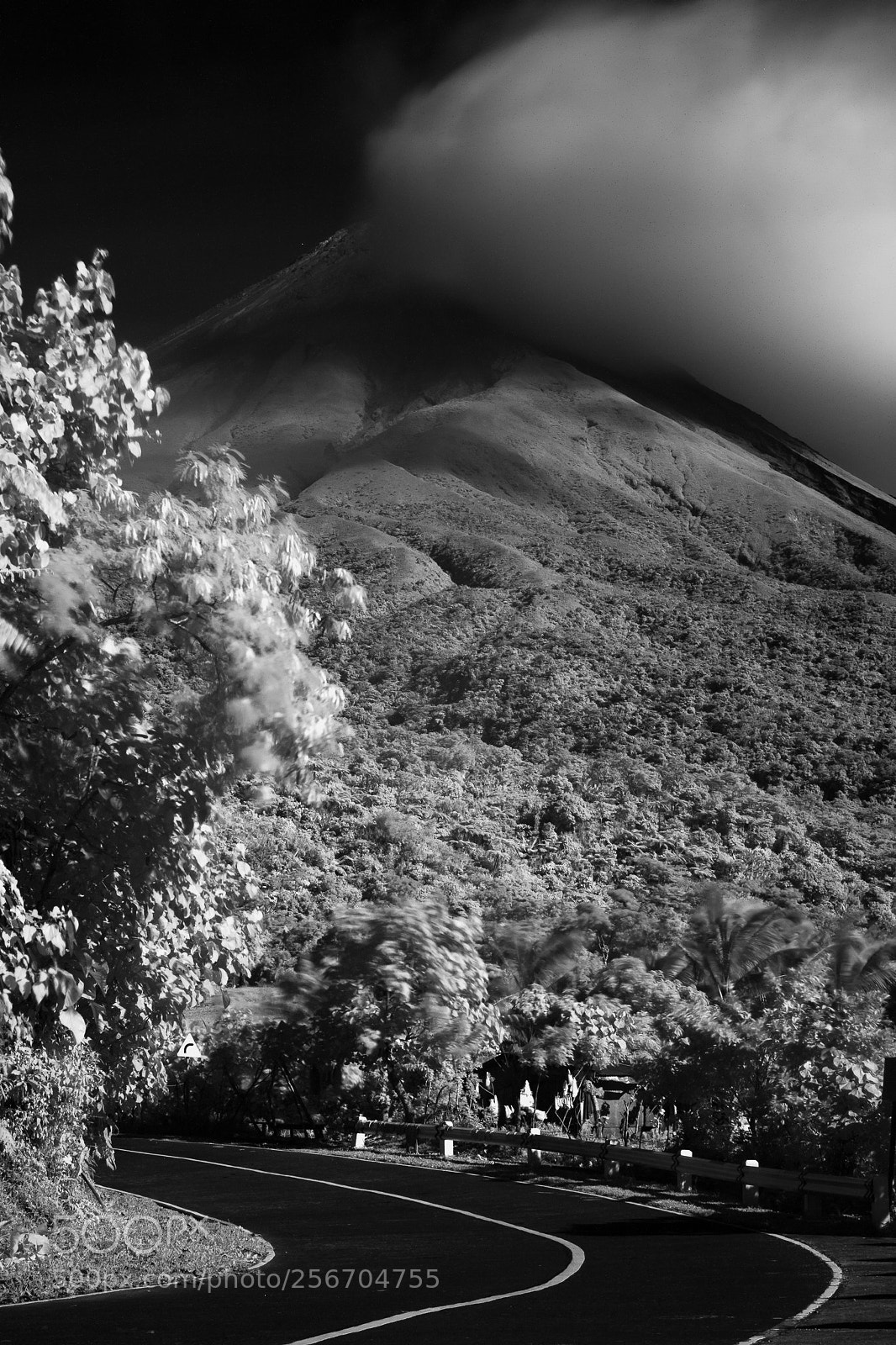 Canon EOS 5D Mark IV sample photo. Elusive mayon photography