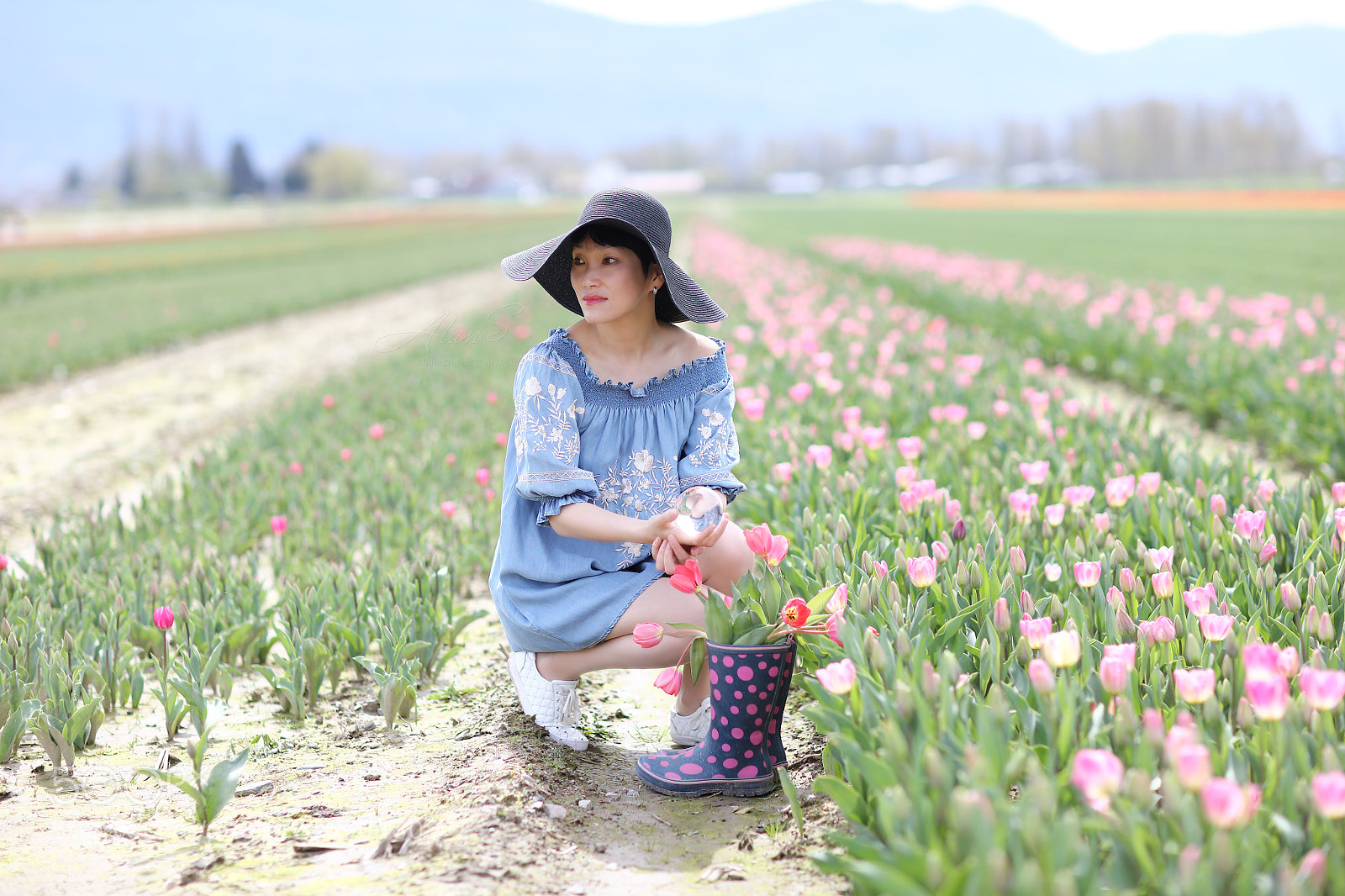 Canon EOS 5DS R sample photo. Tulip season photography