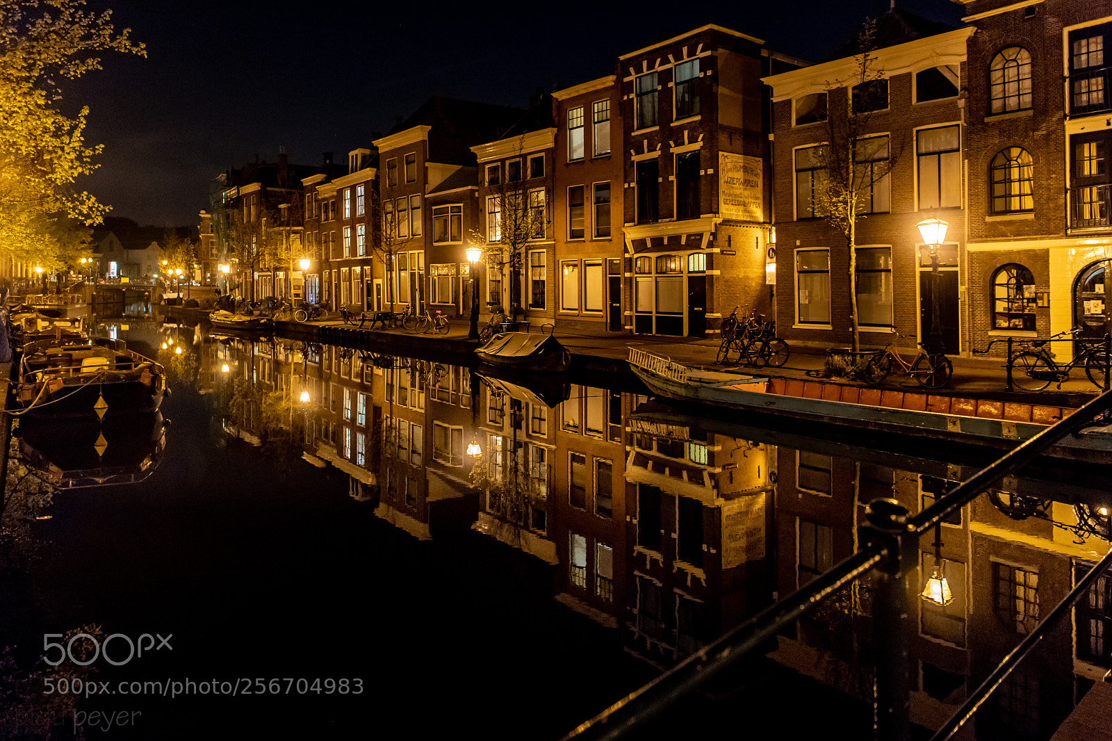 Nikon D5 sample photo. Leiden by night photography