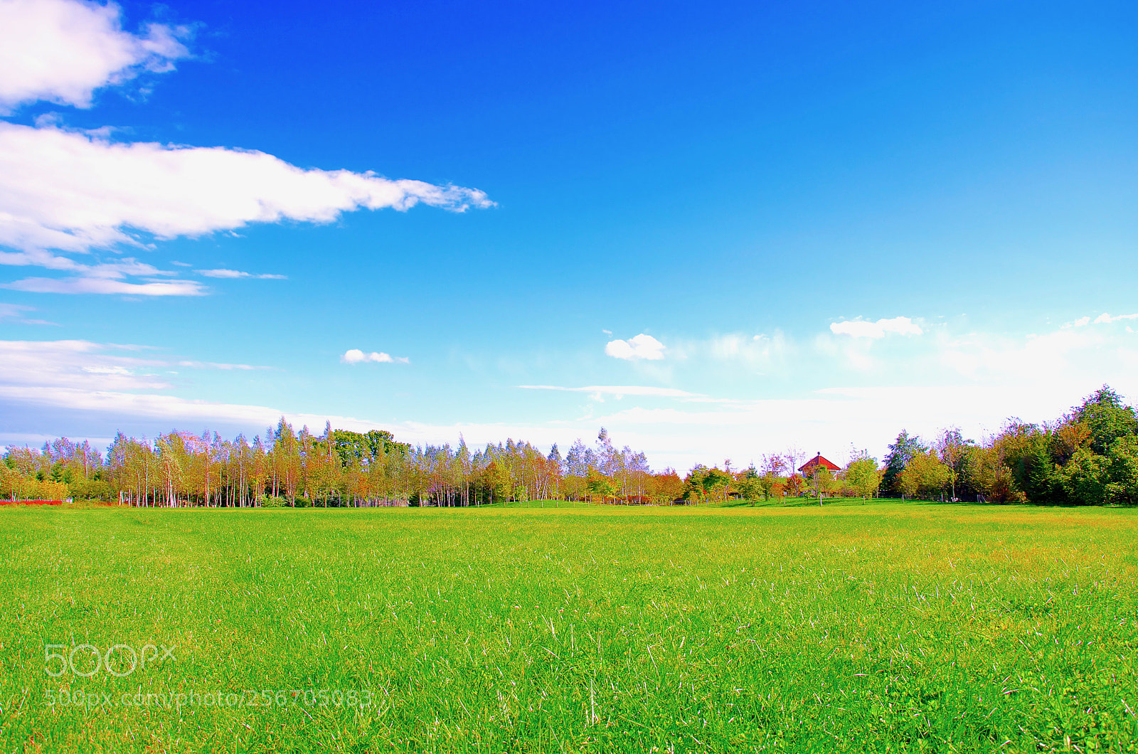 Nikon D5100 sample photo. Nature photography
