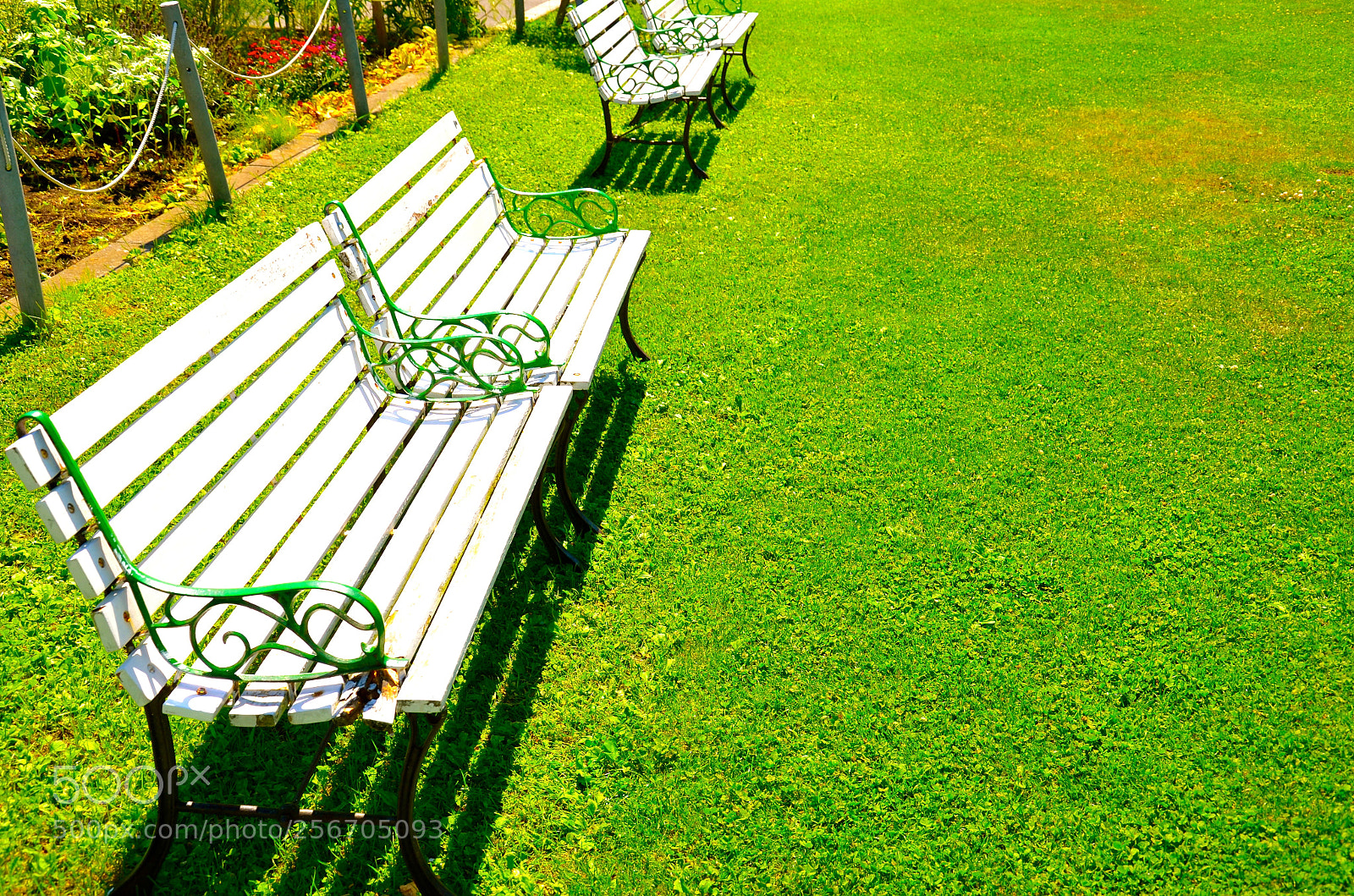 Nikon D5100 sample photo. Bench photography