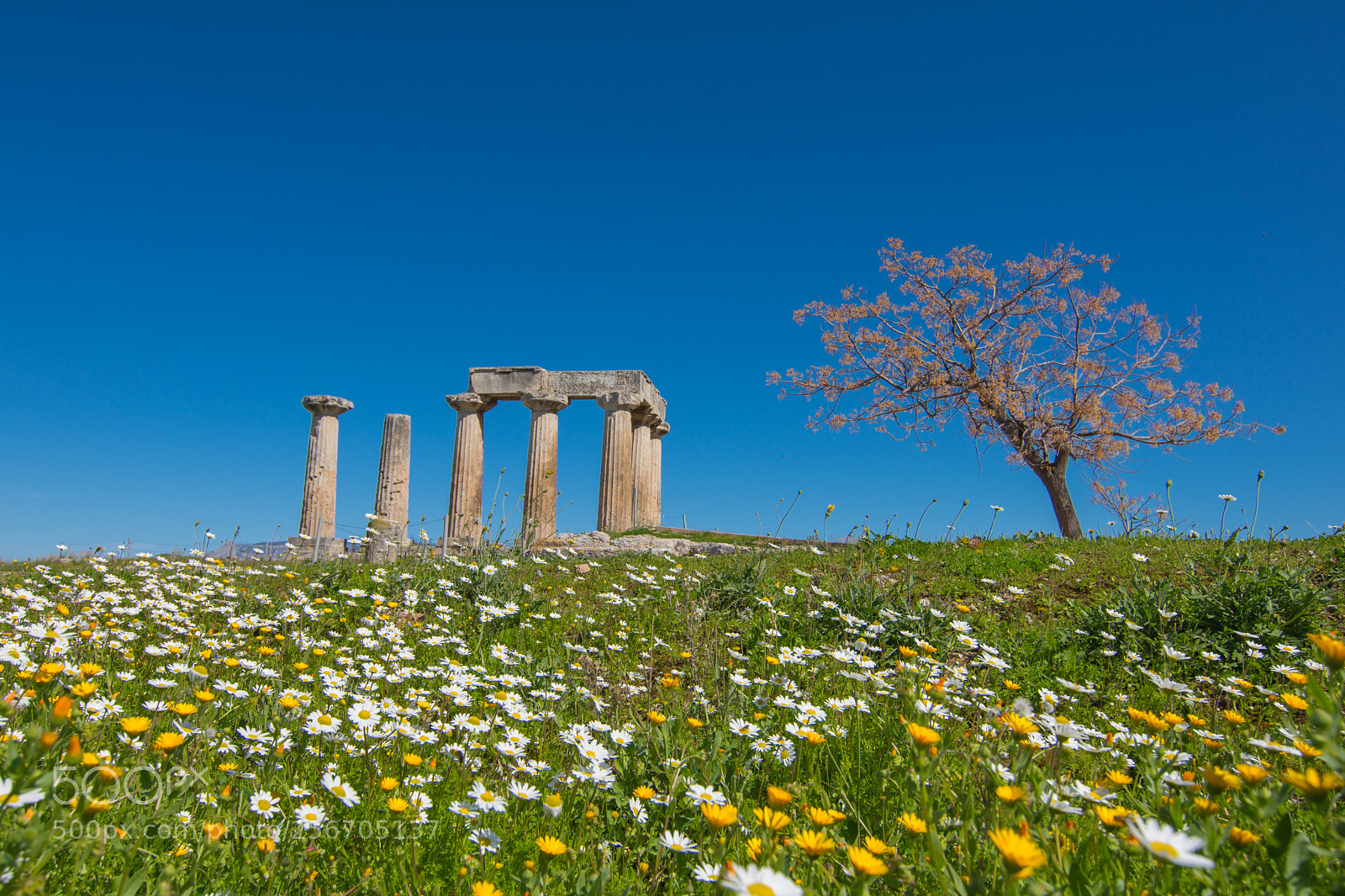Nikon D7200 sample photo. Temple of apollo photography