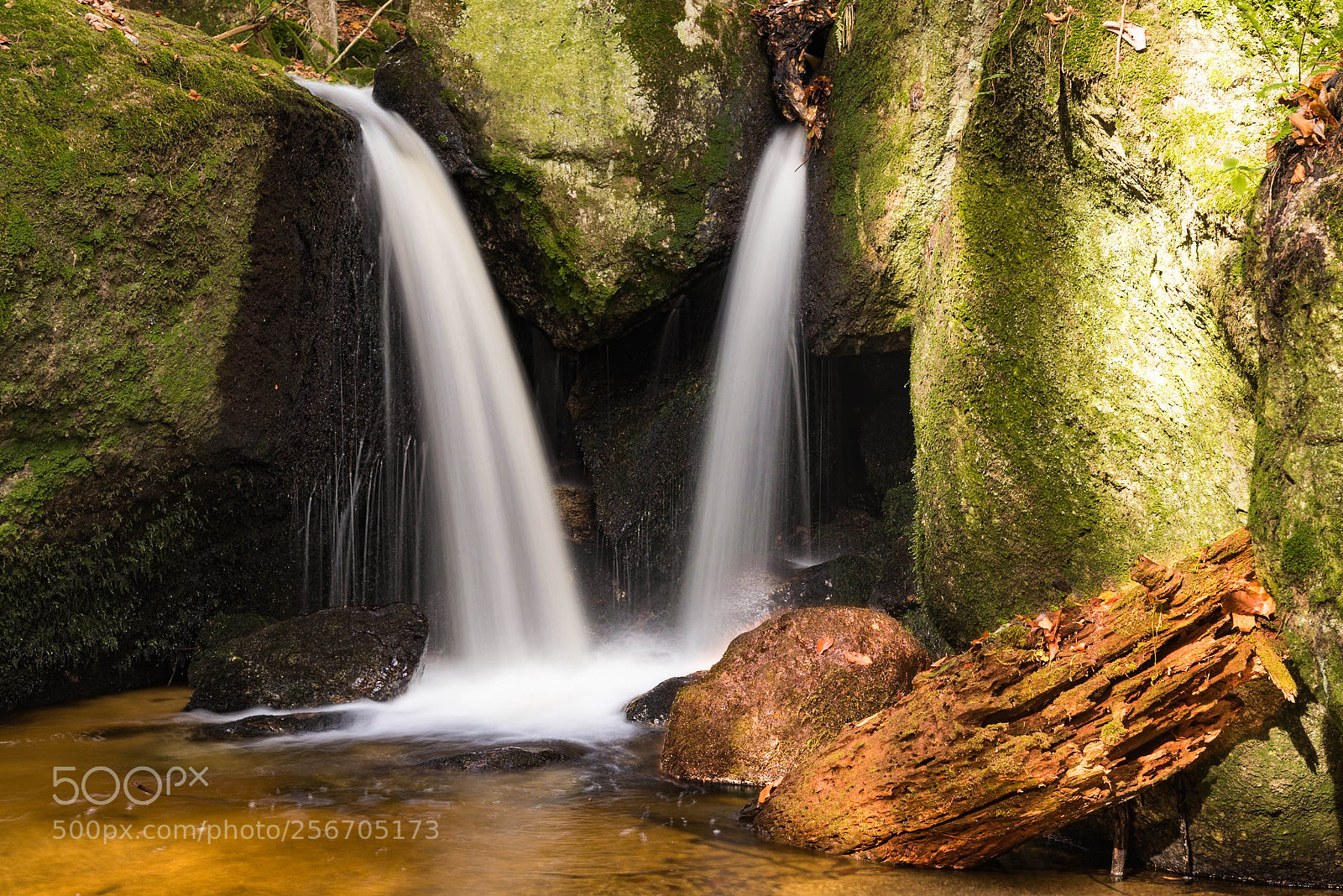 Nikon D810 sample photo. Water falls in autumn photography