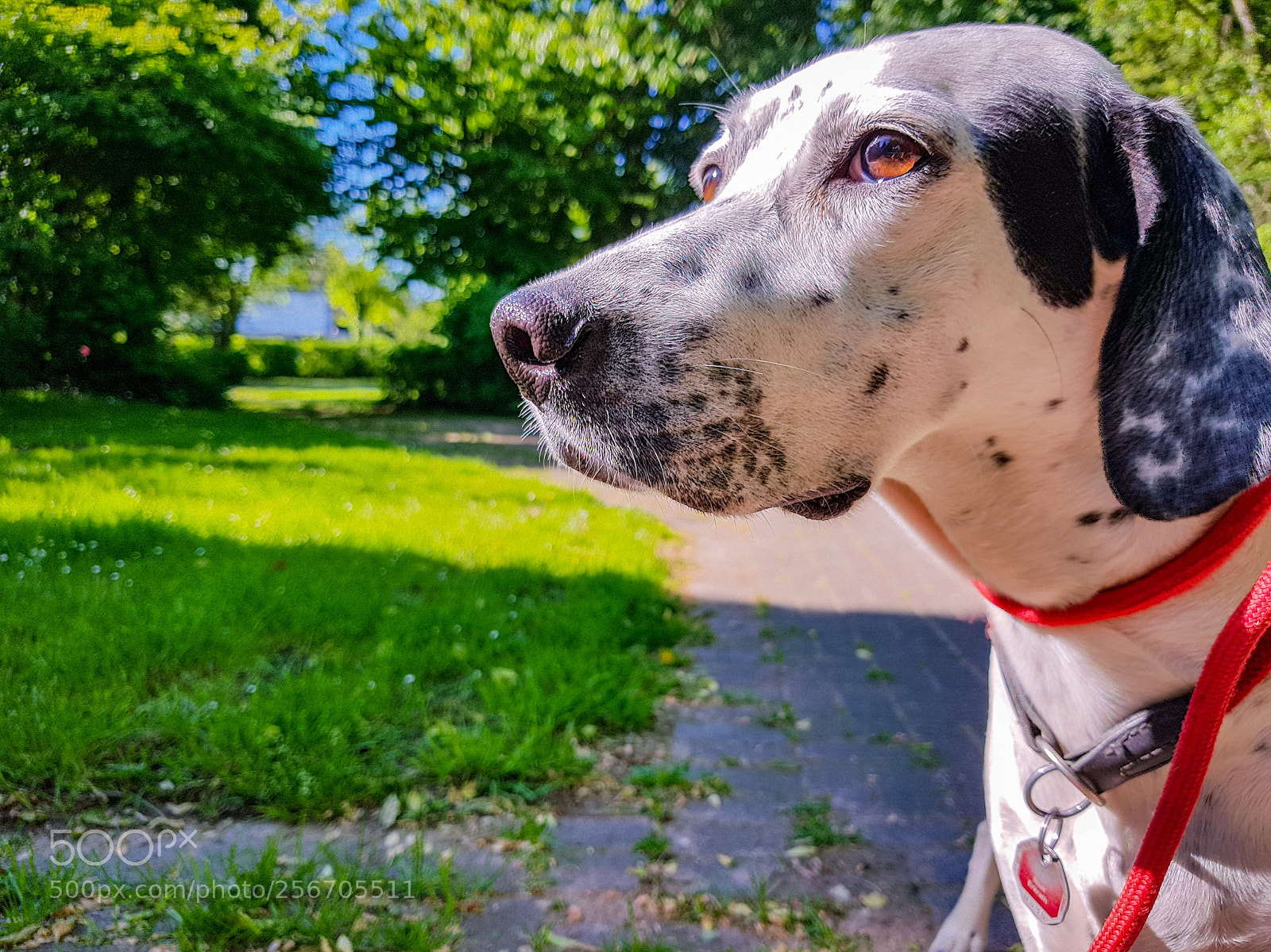 Samsung Galaxy S7 sample photo. Untitled photography