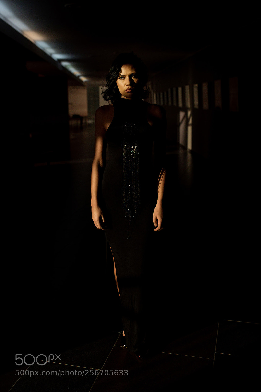 Nikon D750 sample photo. In the lights photography
