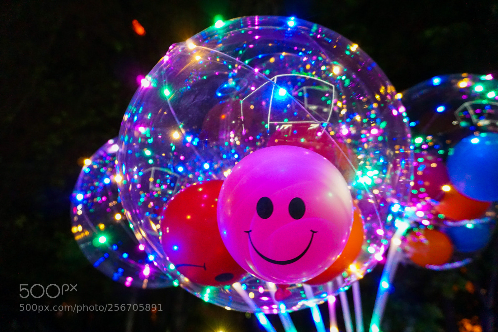 Sony a6000 sample photo. It smiles at me photography