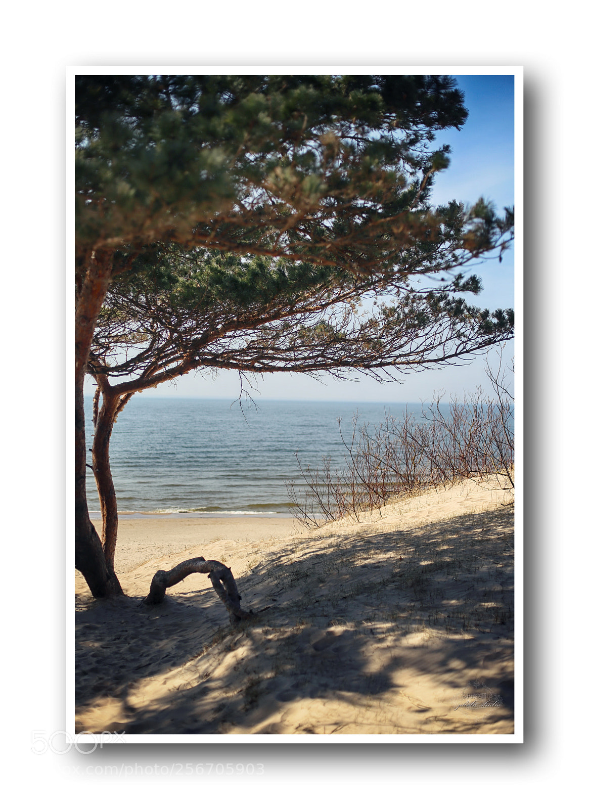 Canon EOS 6D sample photo. I see the baltic photography