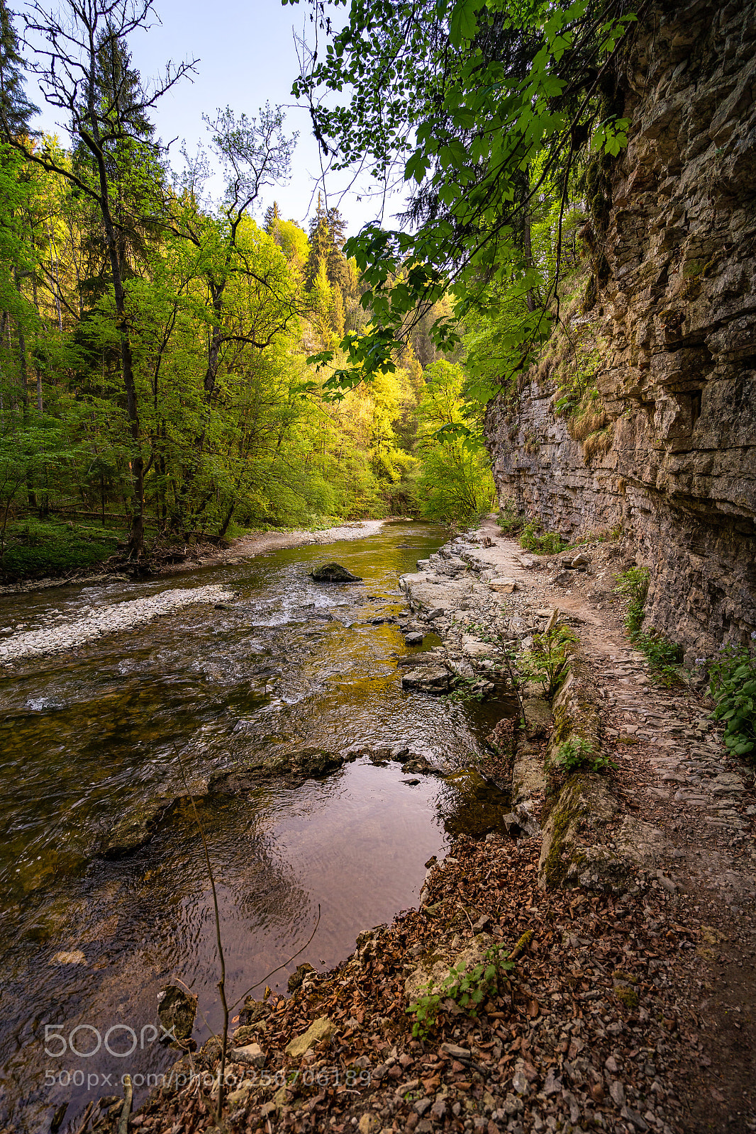 Sony a9 sample photo. Wutachschlucht photography