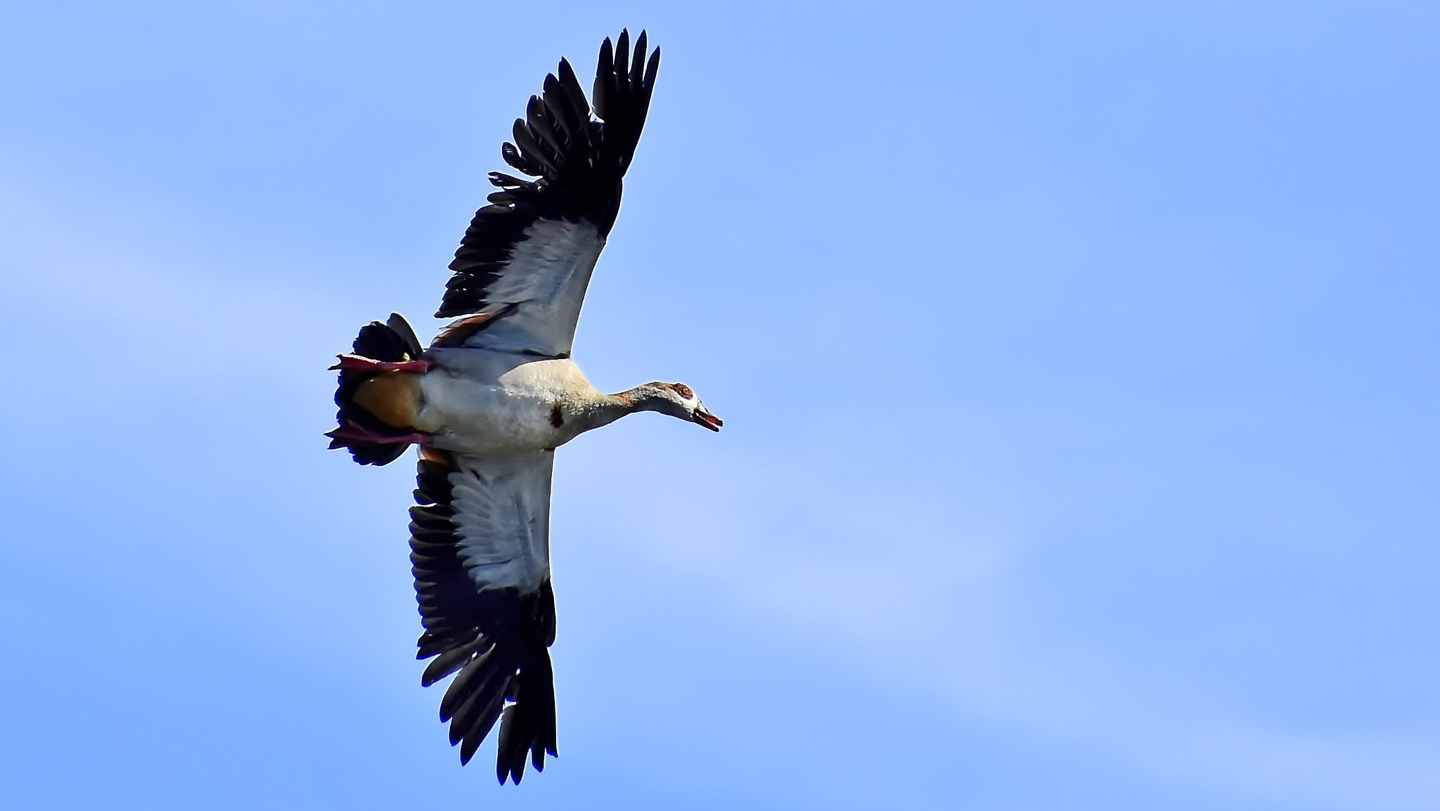 Nikon D7200 sample photo. Sharp turn... photography