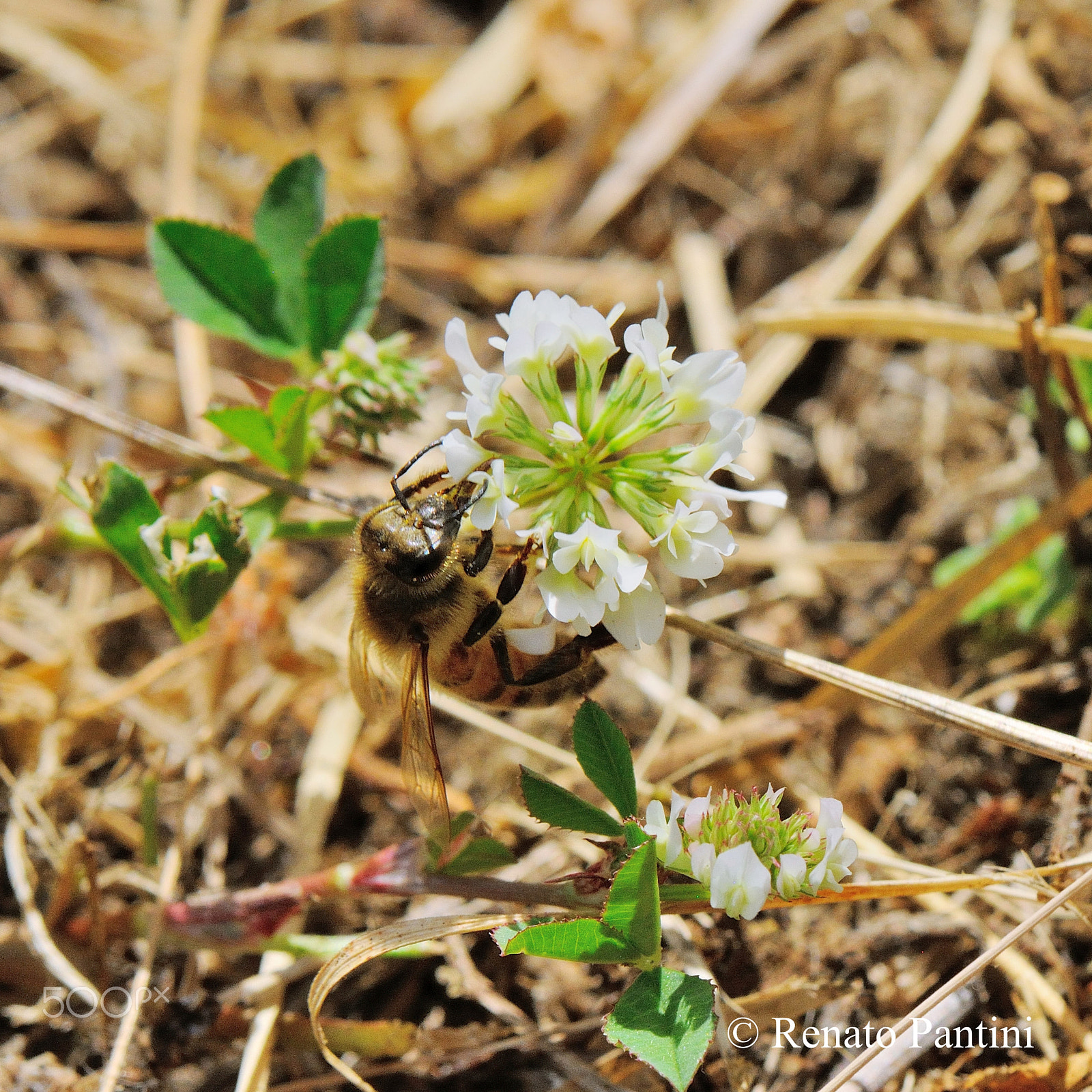 Nikon D300S + Nikon AF-S Micro-Nikkor 105mm F2.8G IF-ED VR sample photo. Working... photography