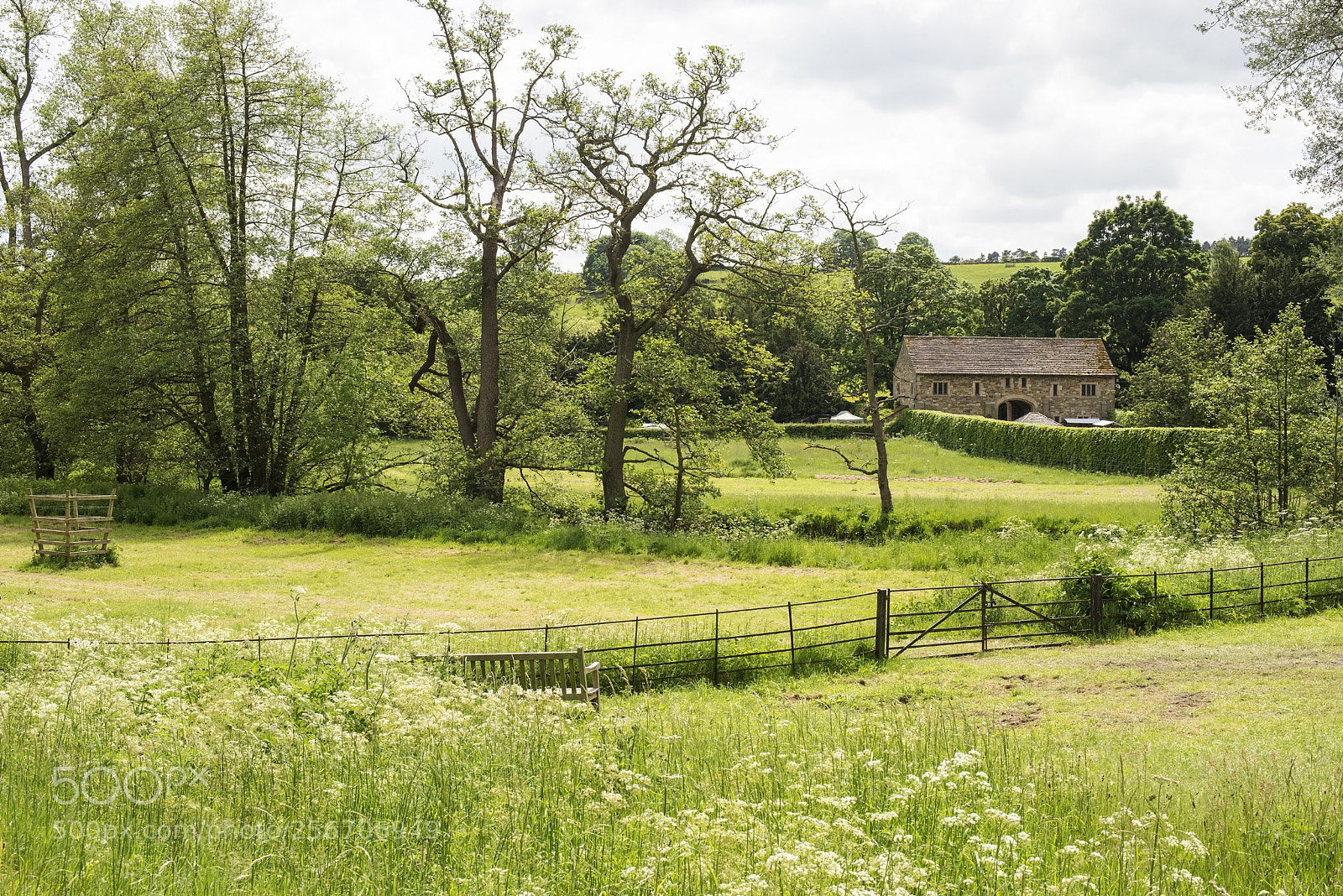 Nikon D600 sample photo. Pretty spot! (1) photography