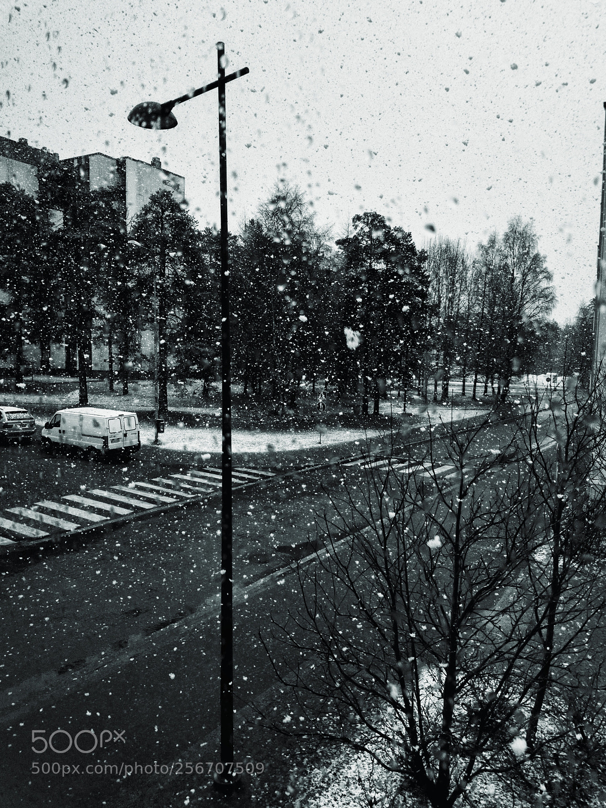 Samsung Galaxy S8 sample photo. May and heavy snow photography