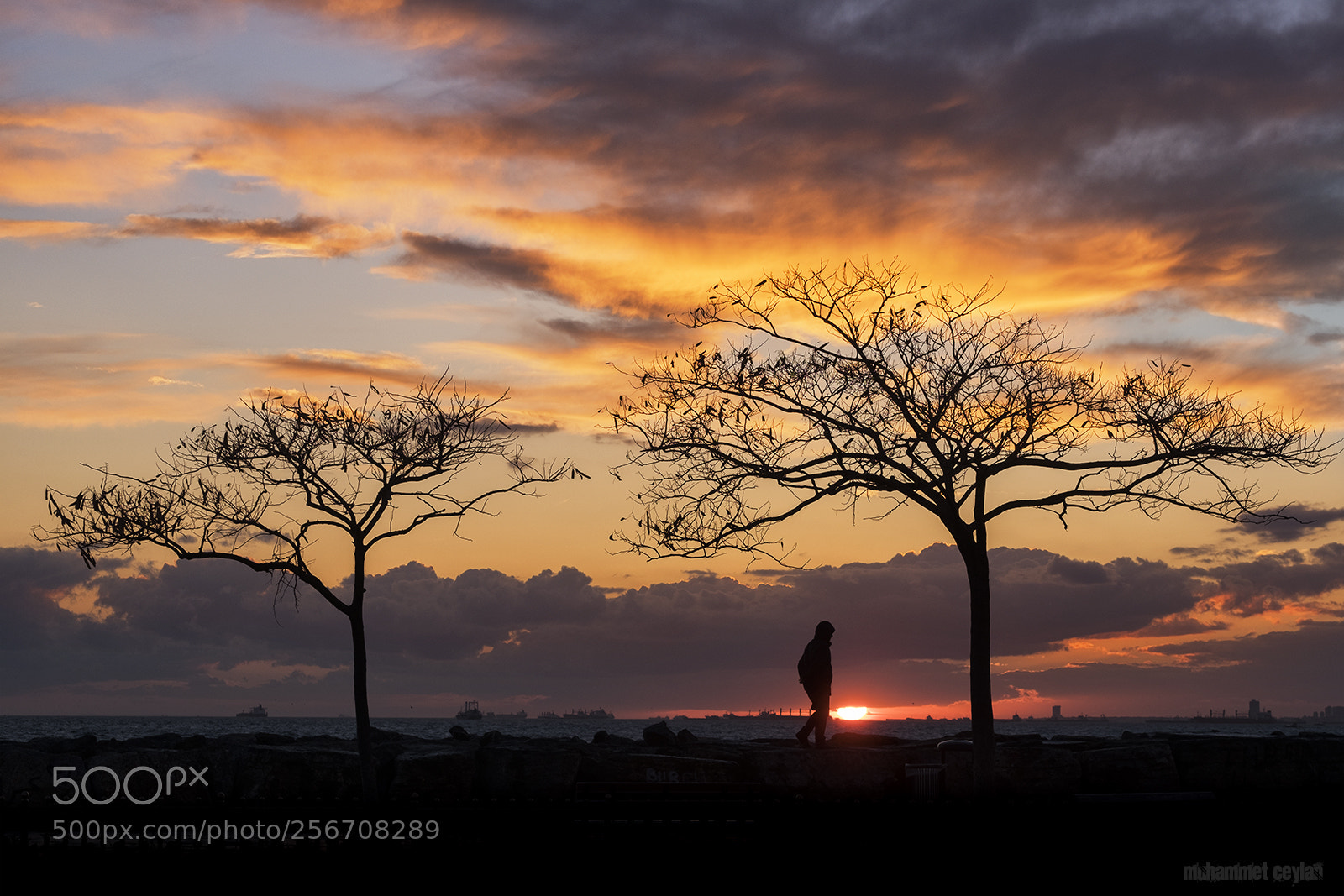Fujifilm X-T2 sample photo. Sunset photography