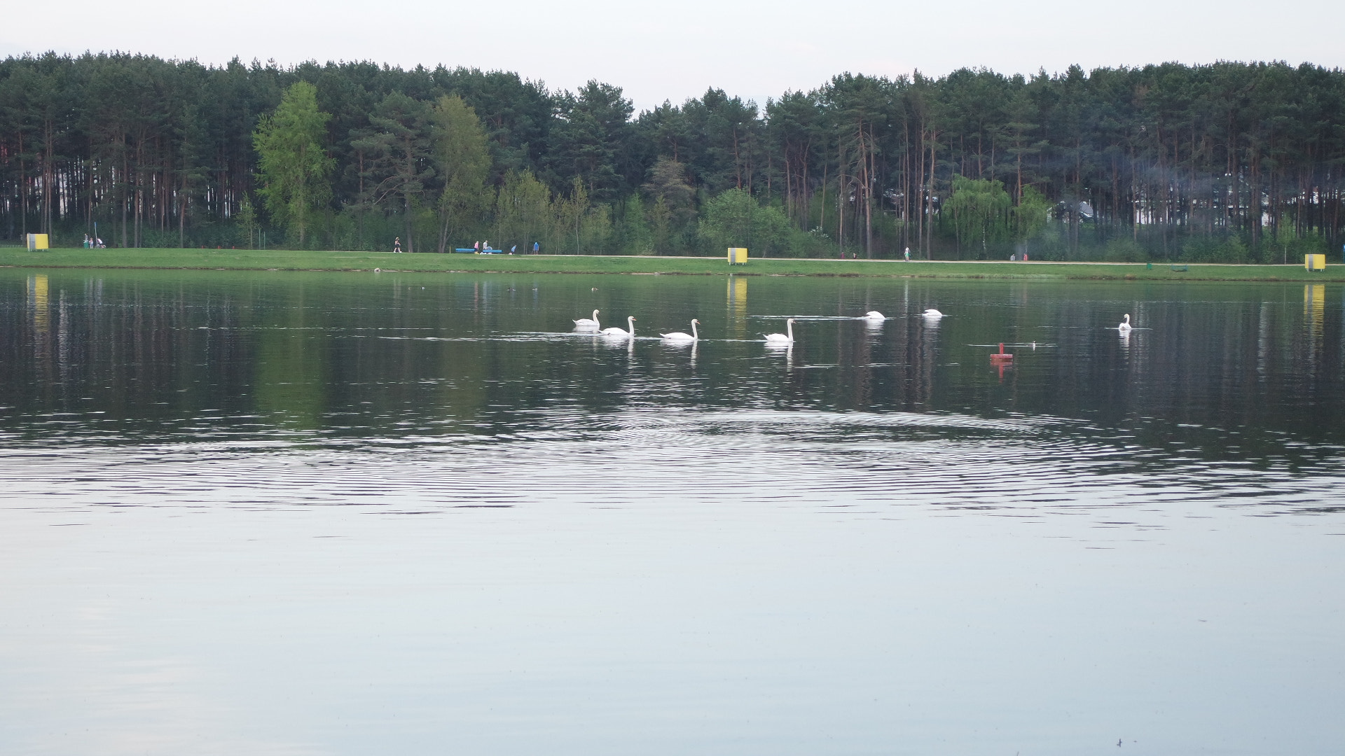 Samsung NX mini sample photo. Lake and birds photography