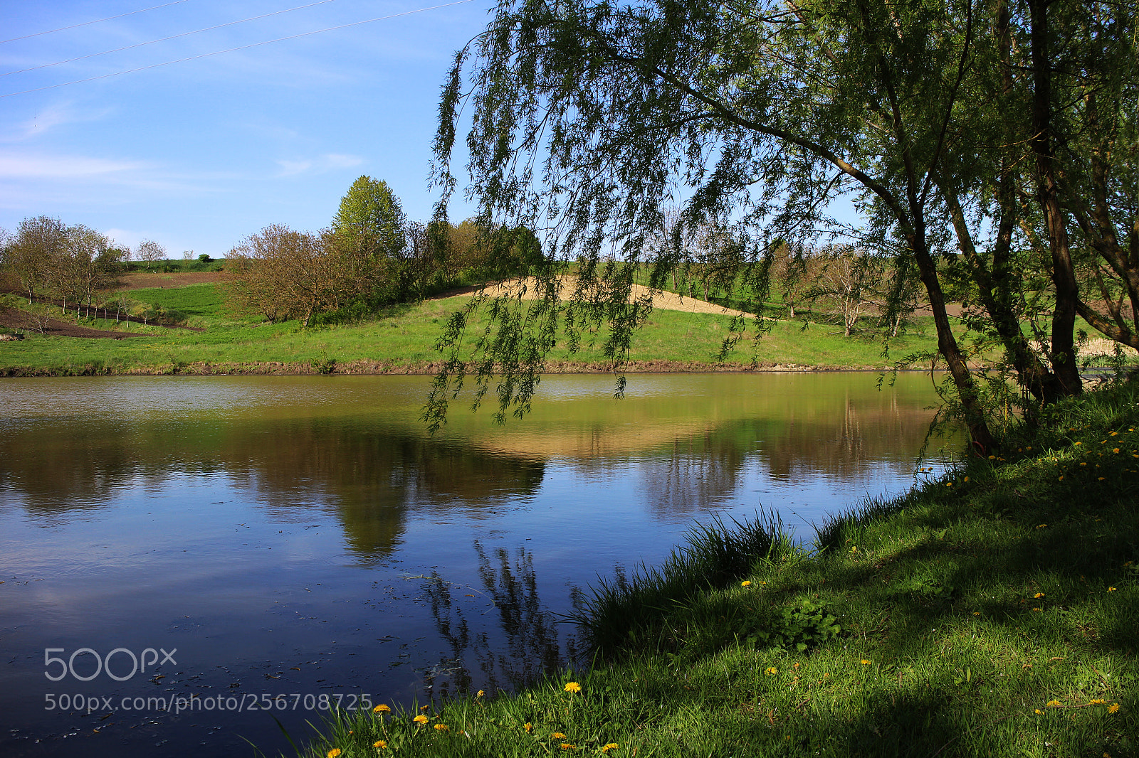 Canon EOS M sample photo. Spring on pond photography