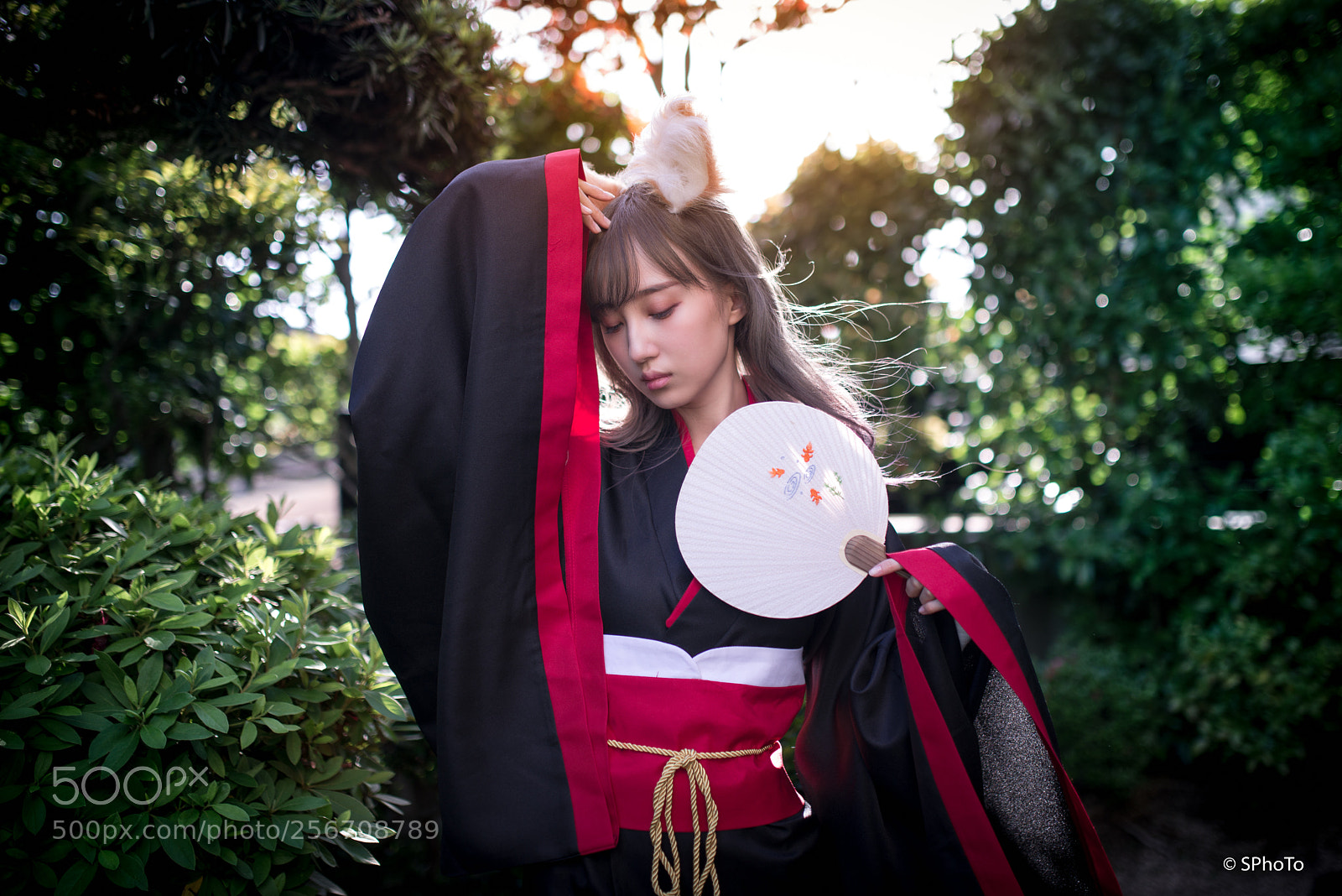 Nikon D800E sample photo. Foxy photography