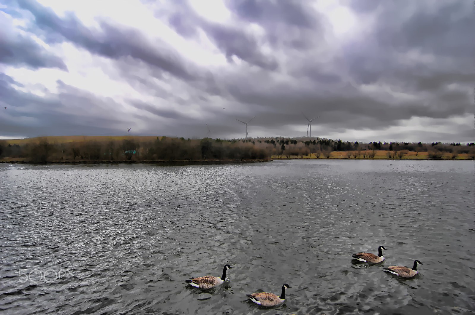 Nikon D2X sample photo. Lake parc bryn bach photography