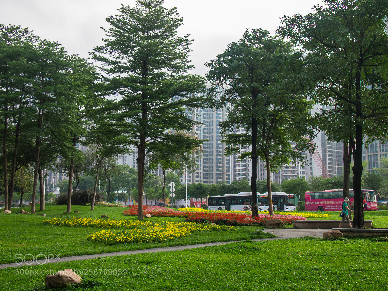 Olympus PEN E-PL3 sample photo. 广州大桥头，时有车马喧。 photography