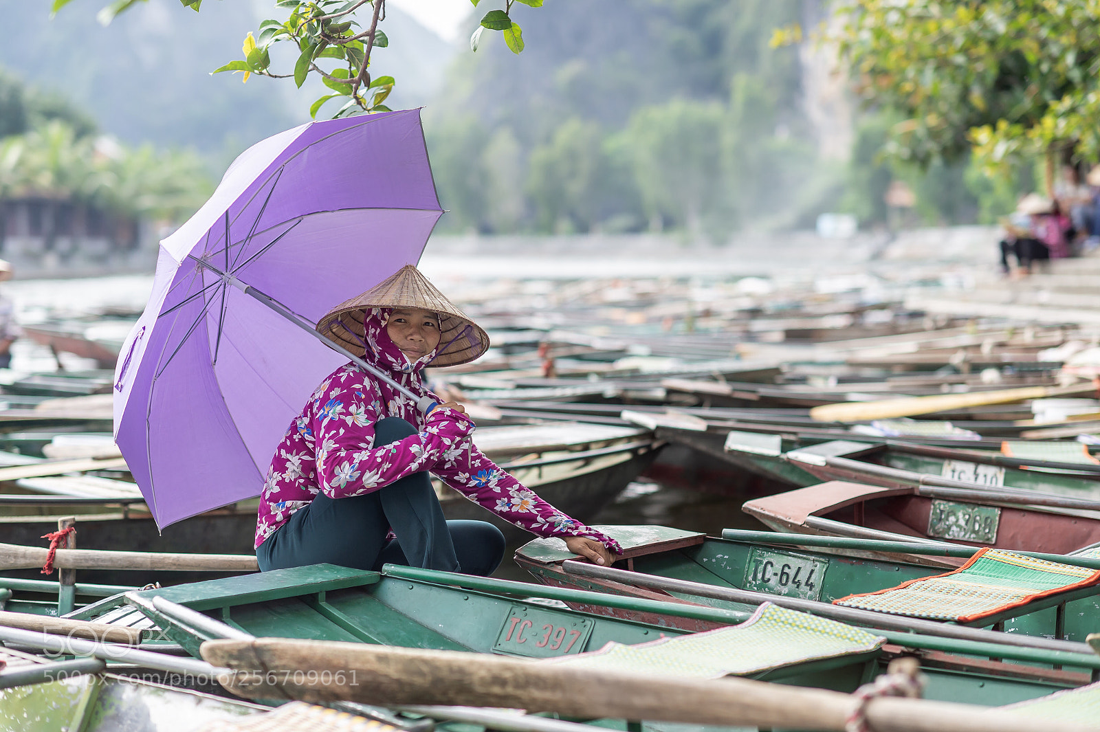 Nikon Df sample photo. Nigh binh photography