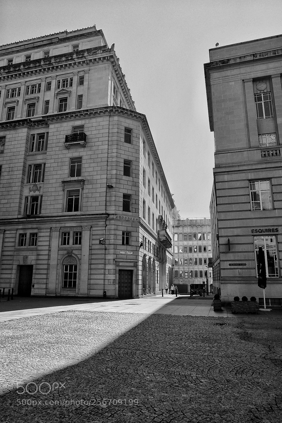 Fujifilm X-T10 sample photo. Untitled photography