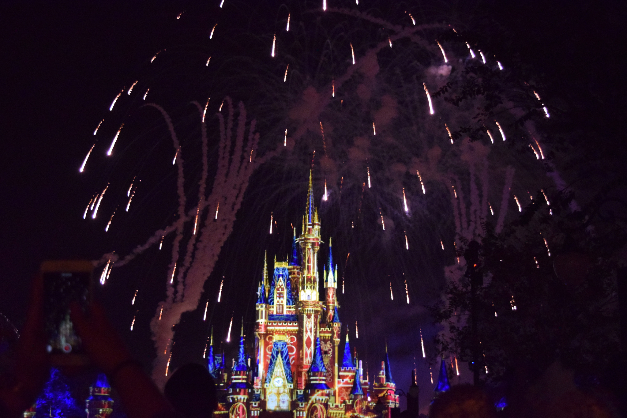 Nikon D5300 sample photo. Disney'sfireworks photography