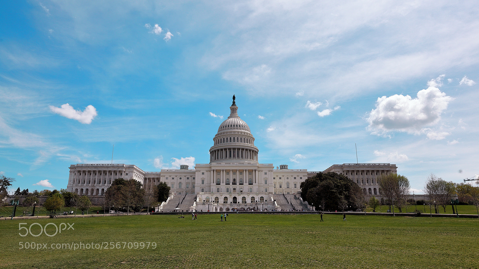 Canon EOS 5D Mark II sample photo. Mg photography