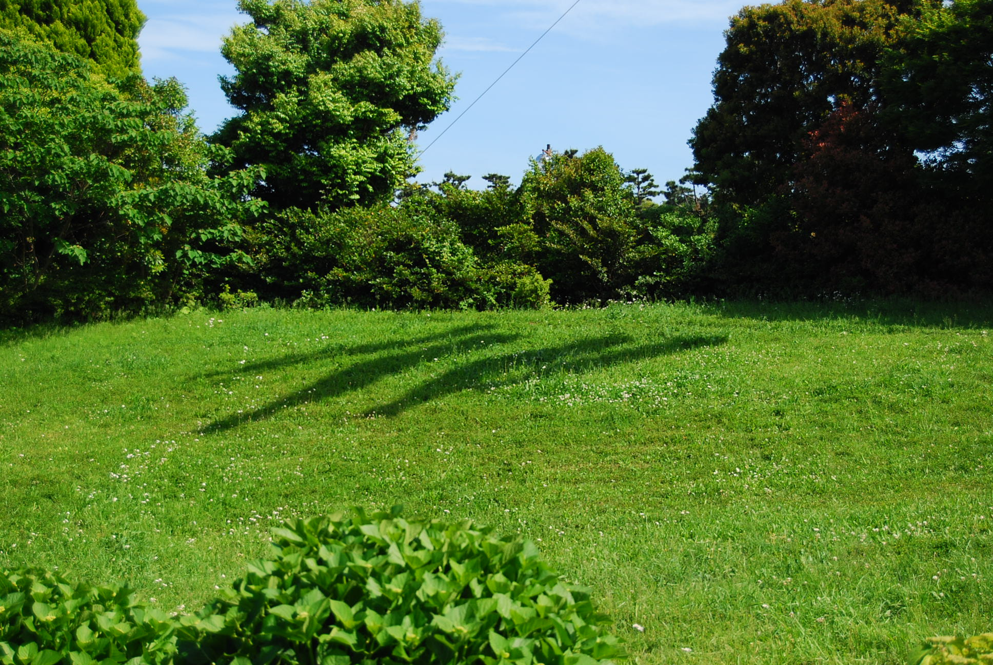 Nikon D40X sample photo. Image photography