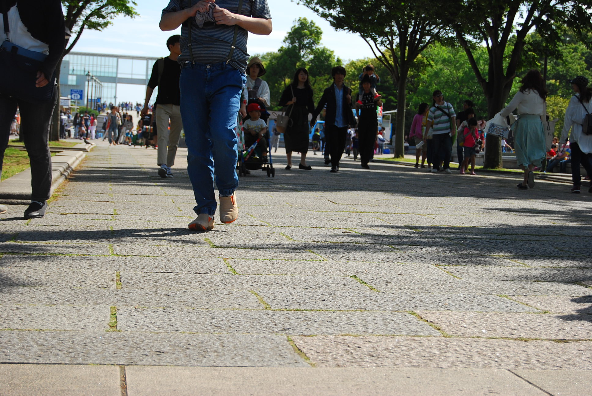 Nikon D40X sample photo. Image photography