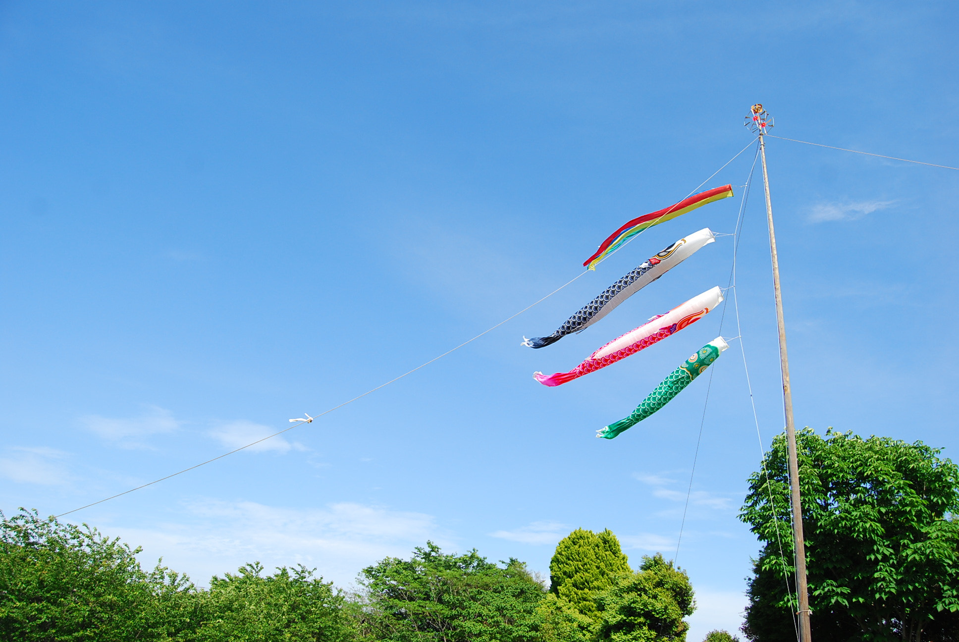 Nikon D40X sample photo. Image photography