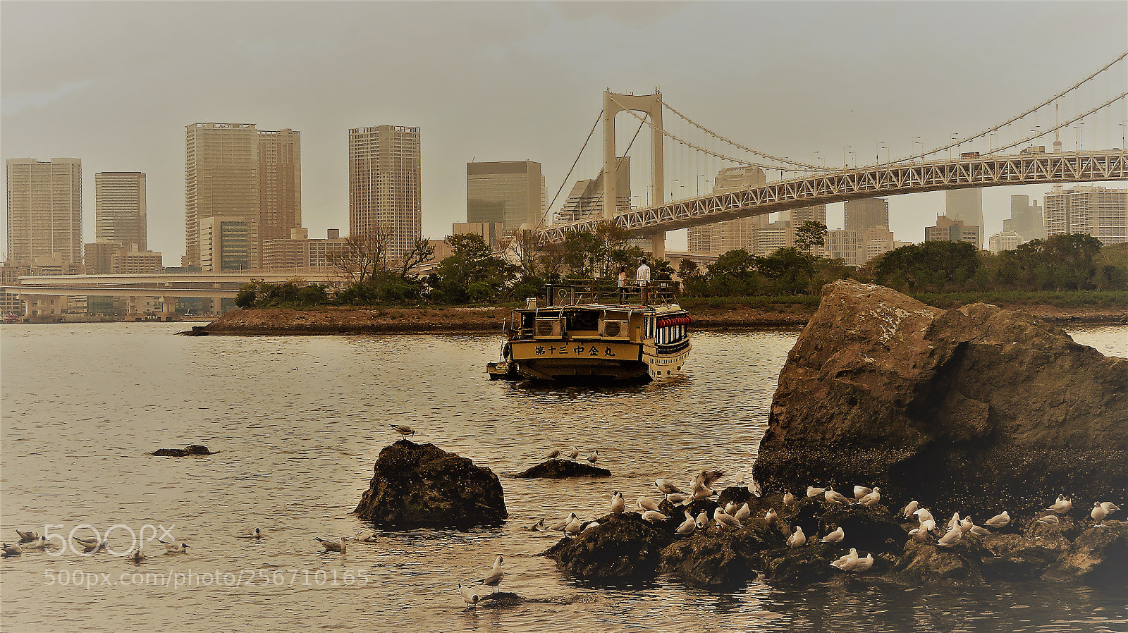 Canon PowerShot SX720 HS sample photo. Rainbow bridge tokyo photography