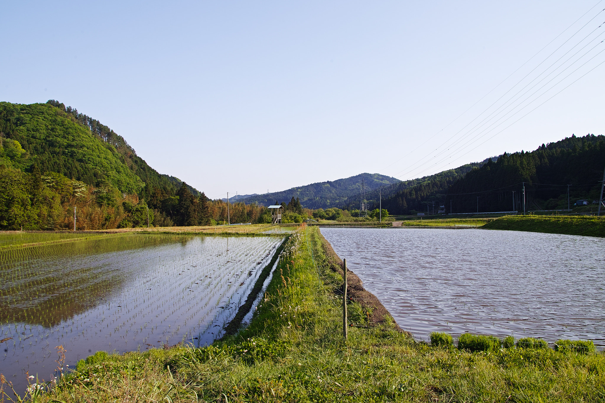 Sigma sd Quattro H sample photo