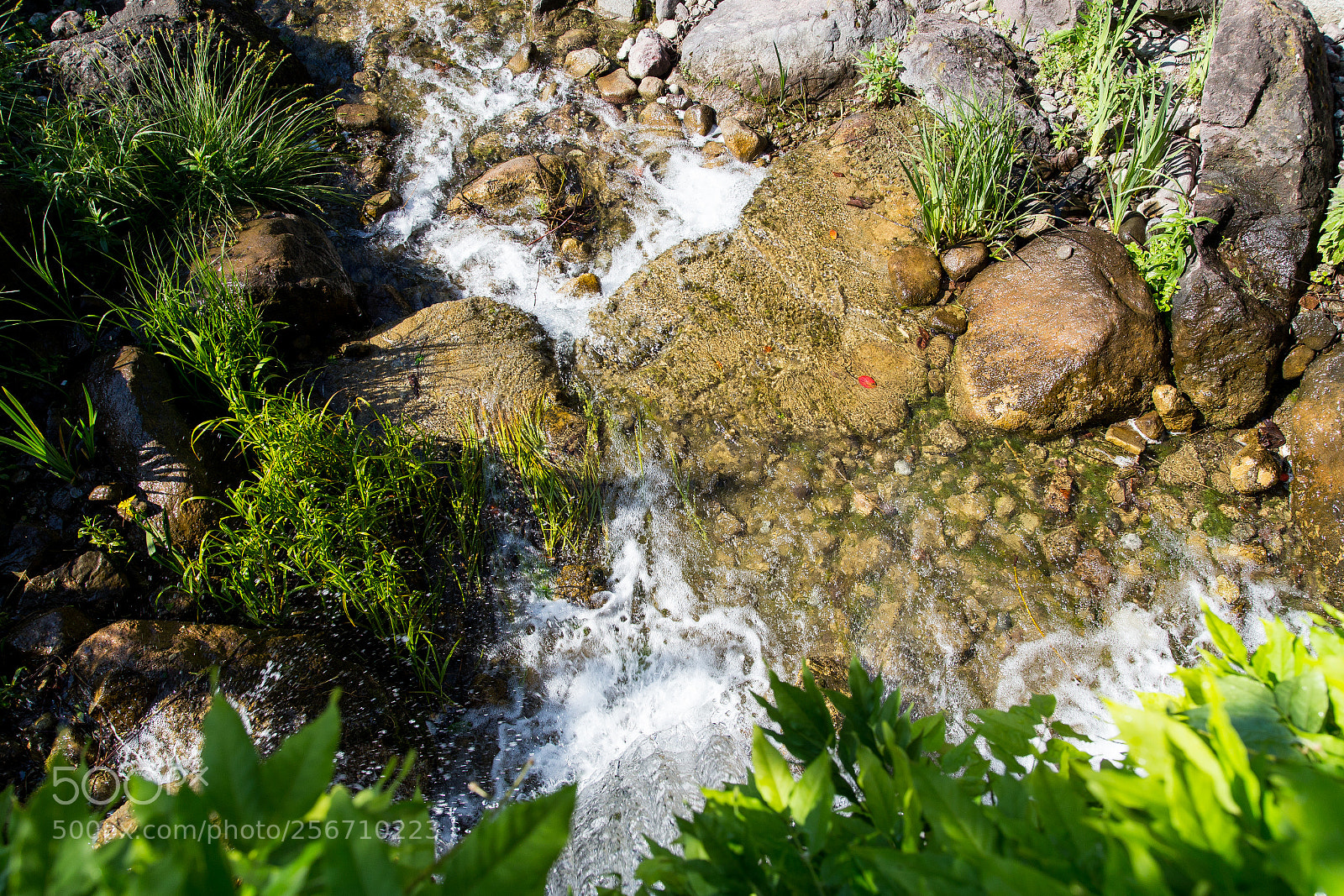 Canon EOS 6D sample photo. Untitled photography
