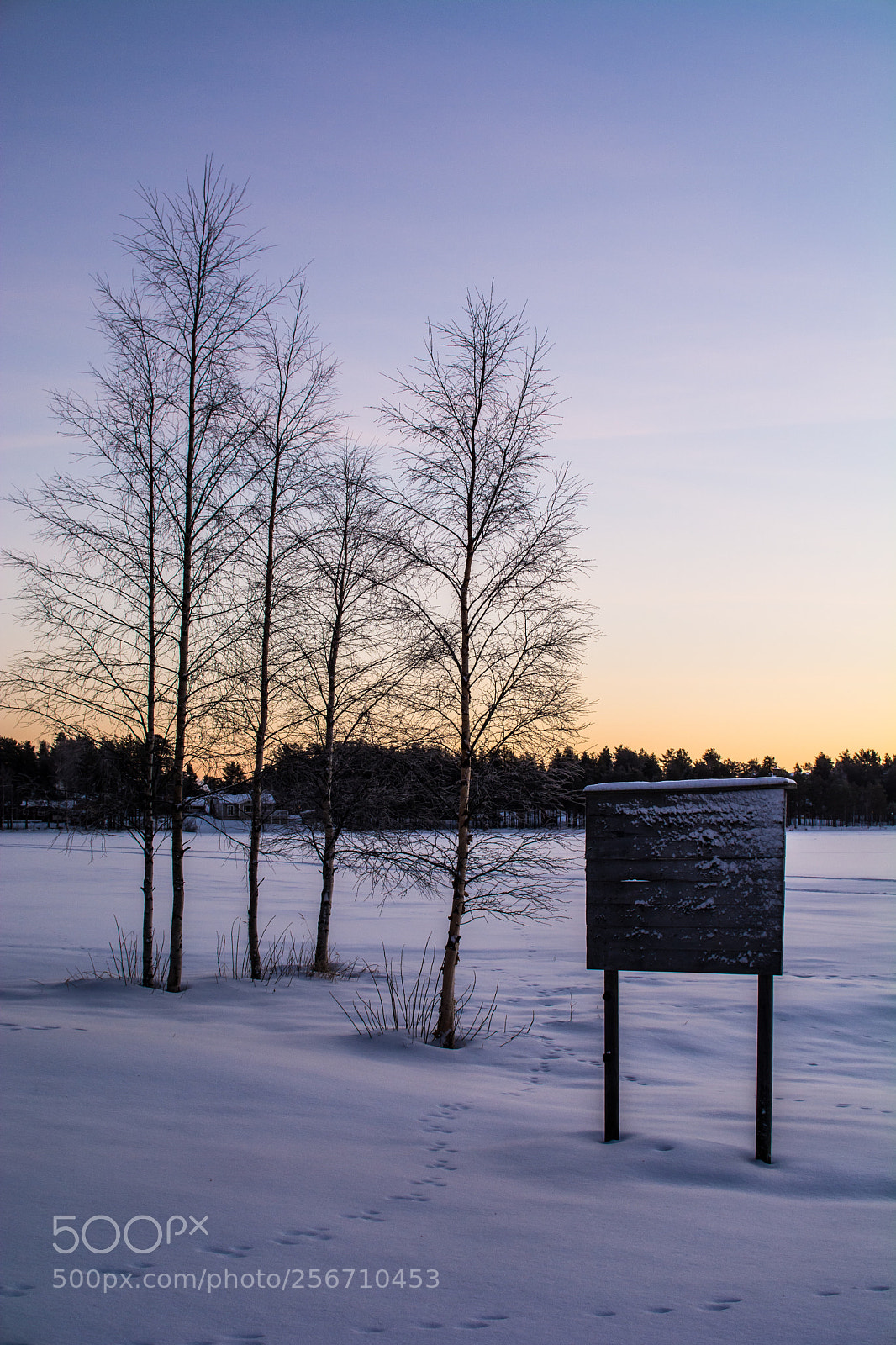 Nikon D7100 sample photo. Sunset over city lake photography