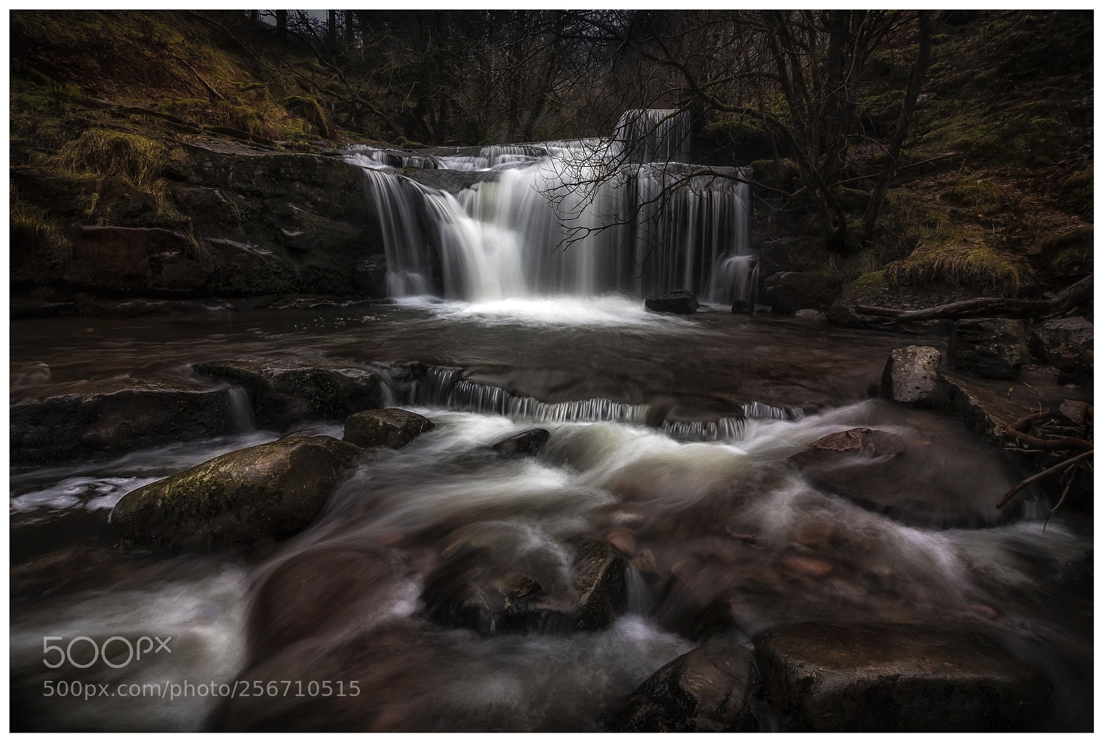 Canon EOS 7D Mark II sample photo. Blaen y glyn photography