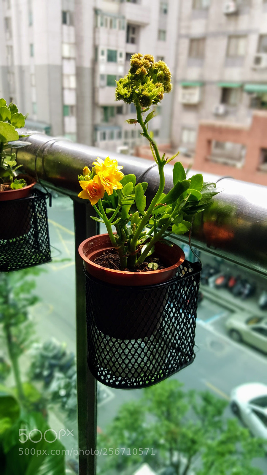 Samsung Galaxy Note5 sample photo. 20180506_133049.jpg photography