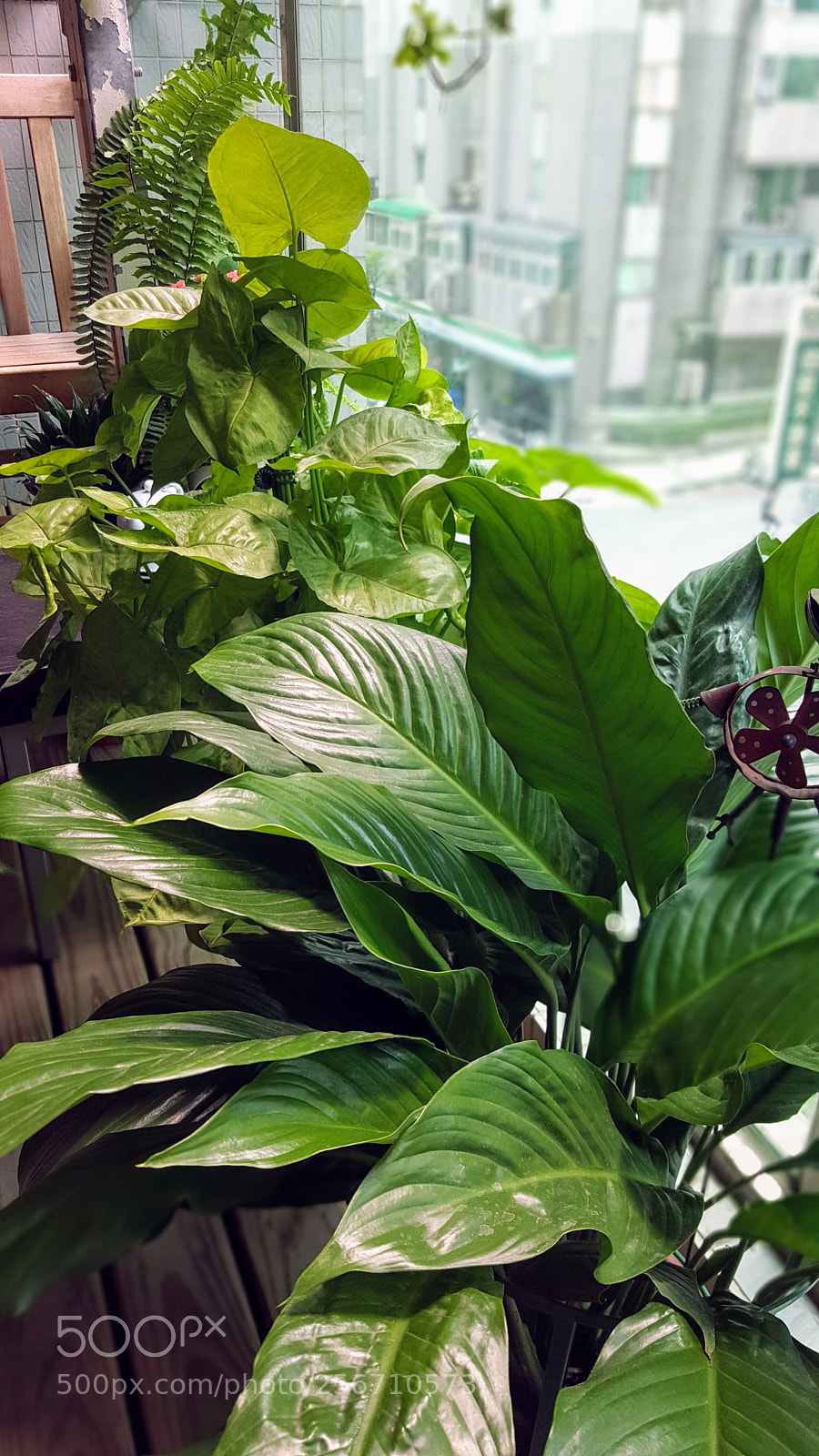 Samsung Galaxy Note5 sample photo. 20180506_133110.jpg photography